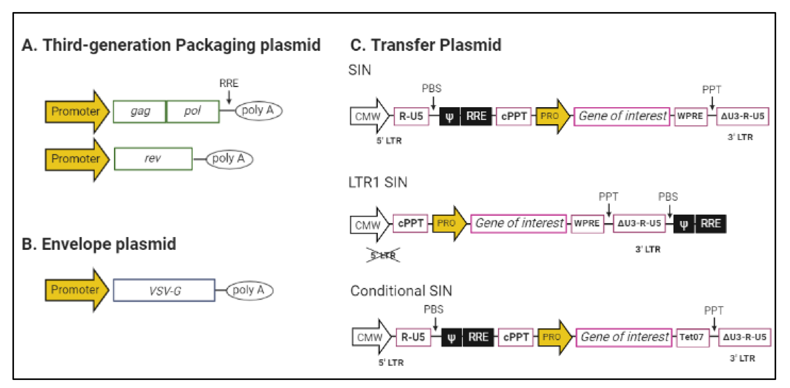 Large-Scale Production of Lentiviral Vectors: Current Perspectives 