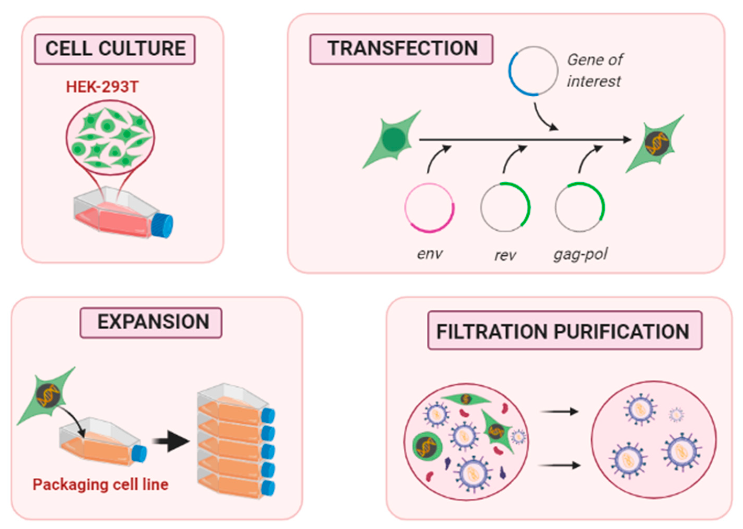 Pharmaceutics Free FullText LargeScale Production of Lentiviral