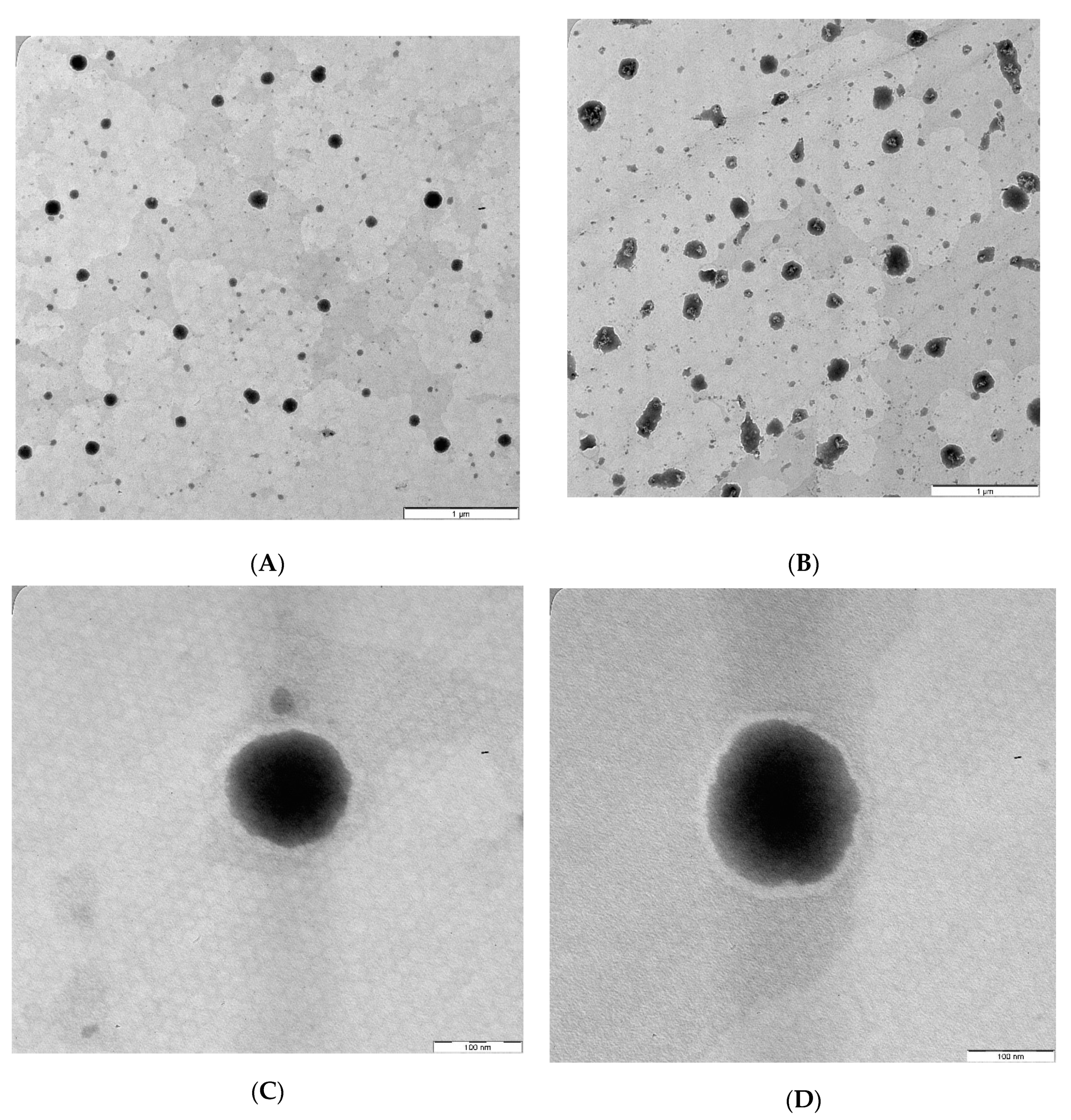 Pharmaceutics 12 01052 g004