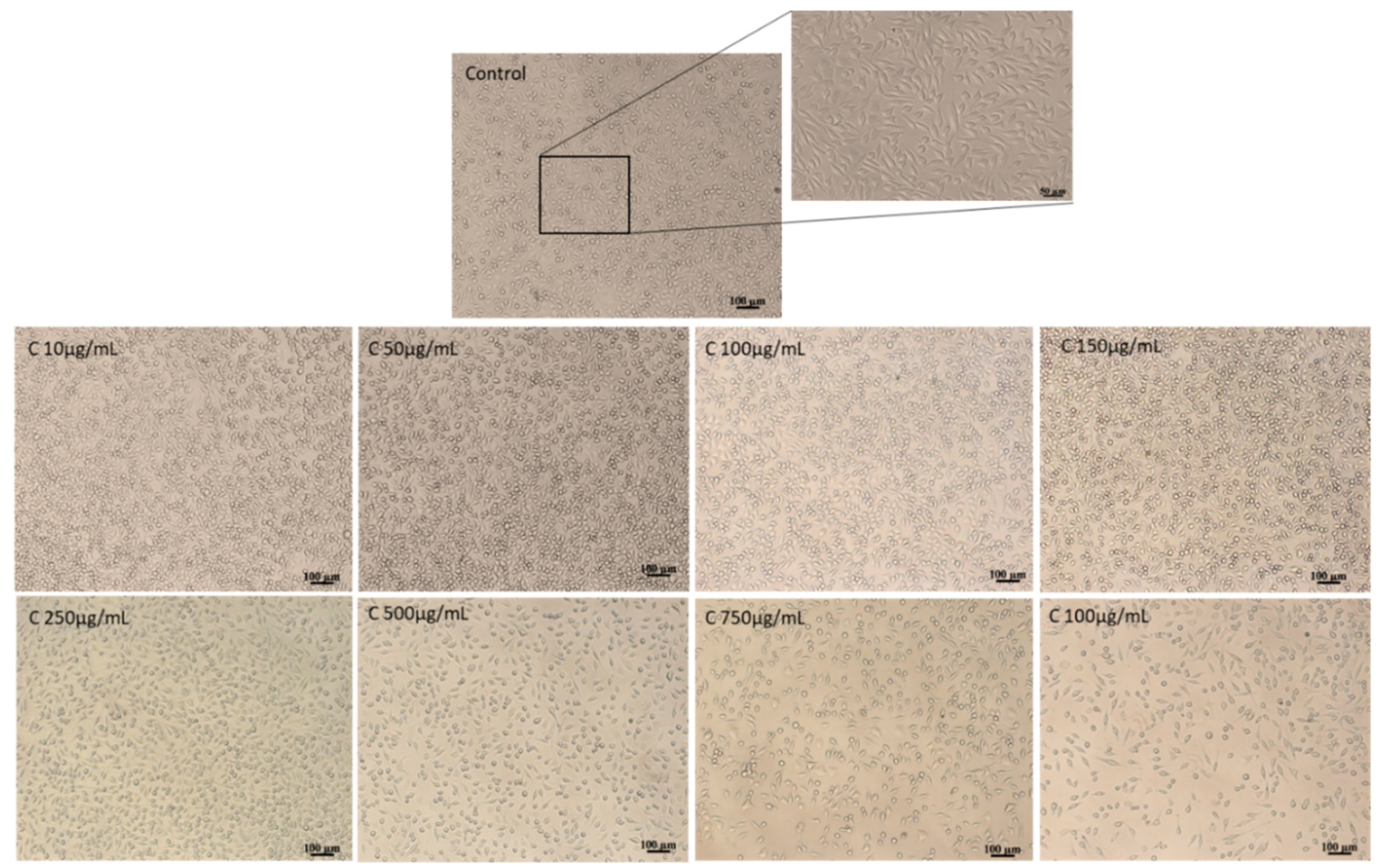 Pharmaceutics 12 01053 g003