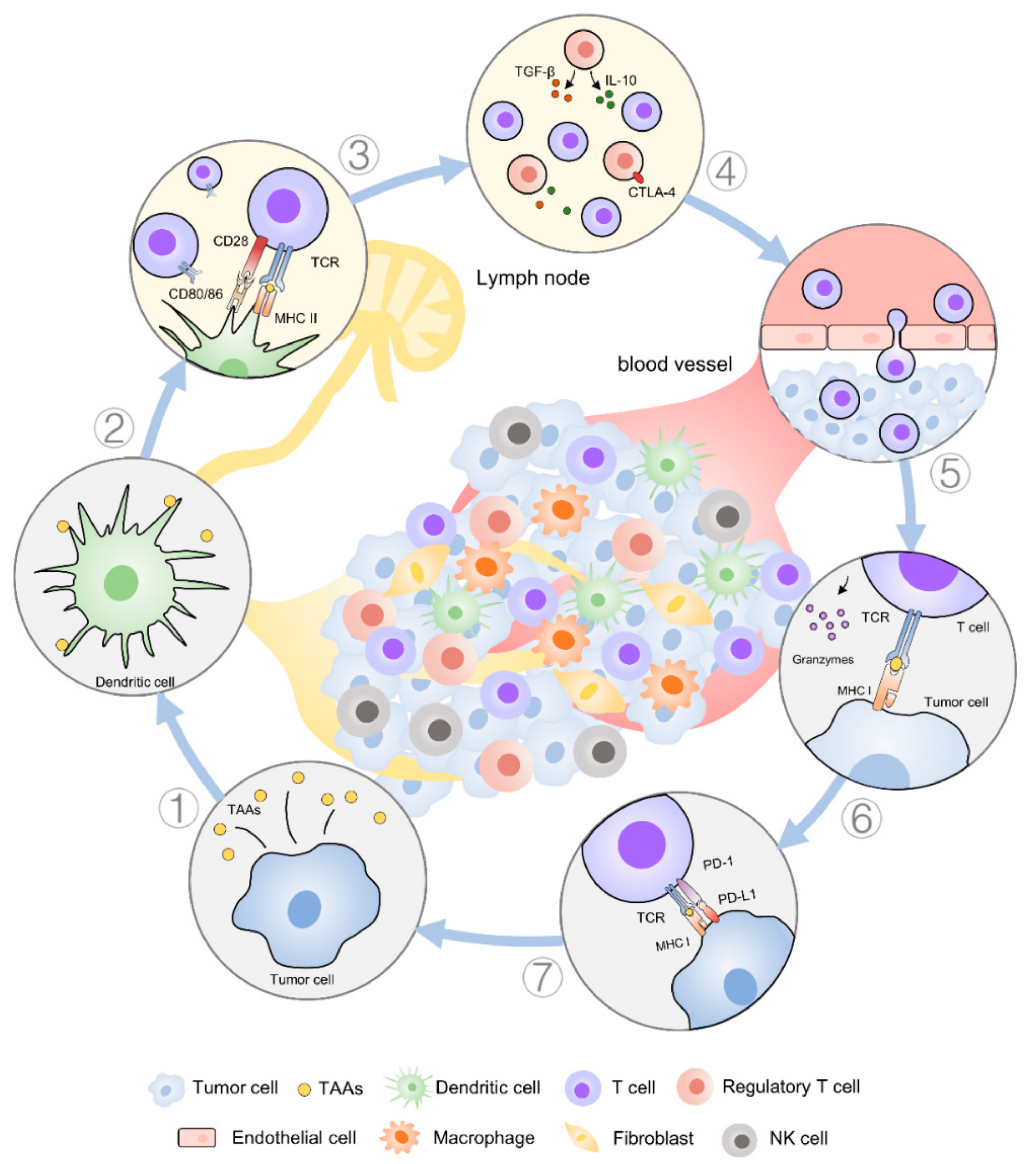 Pharmaceutics 12 01054 g001 Pharmaceutics 12 01054 g001