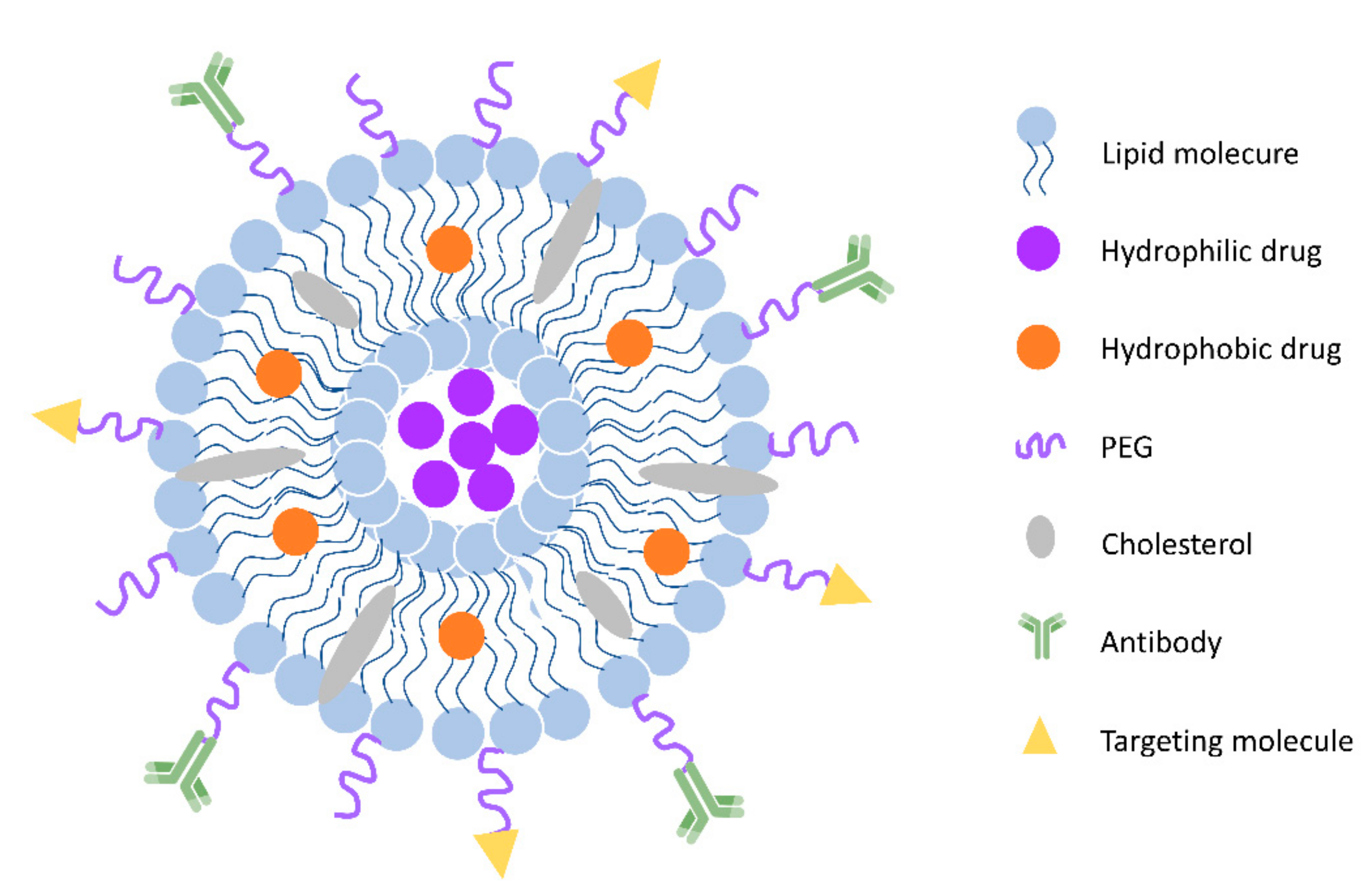 Pharmaceutics 12 01054 g002 Pharmaceutics 12 01054 g002