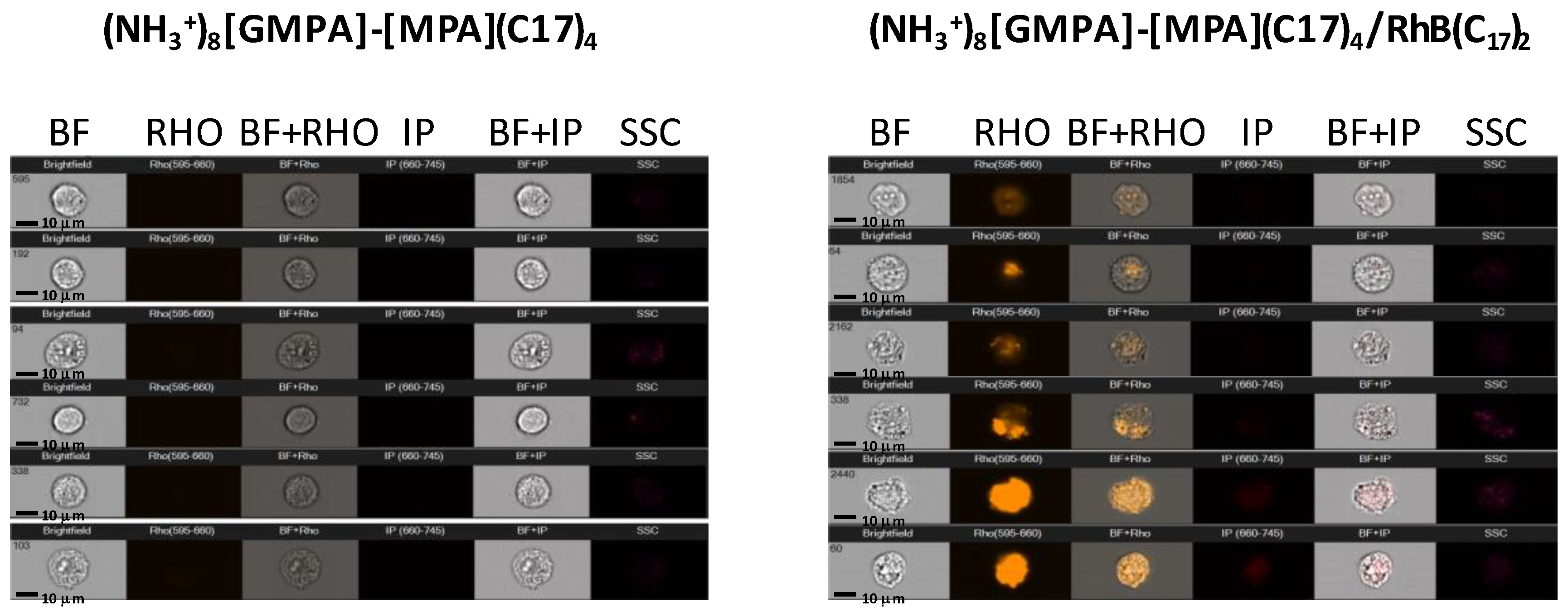 Pharmaceutics 12 01062 g008 Pharmaceutics 12 01062 g008