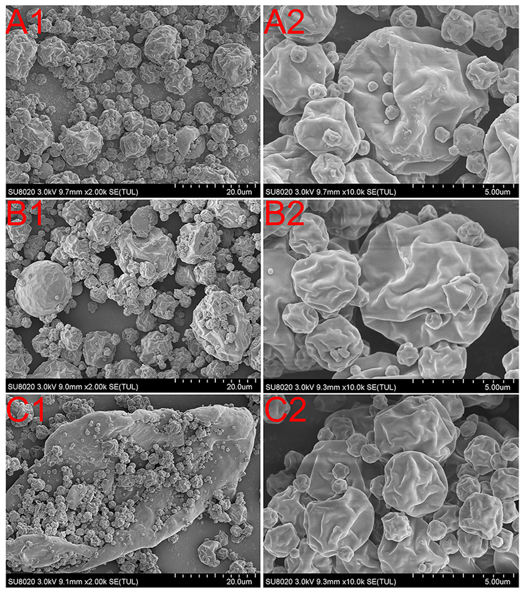 Pharmaceutics 12 01063 g004 Pharmaceutics 12 01063 g004