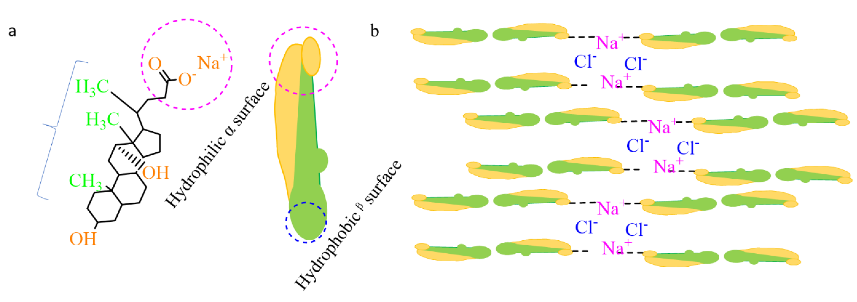 Pharmaceutics 12 01069 g002 Pharmaceutics 12 01069 g002