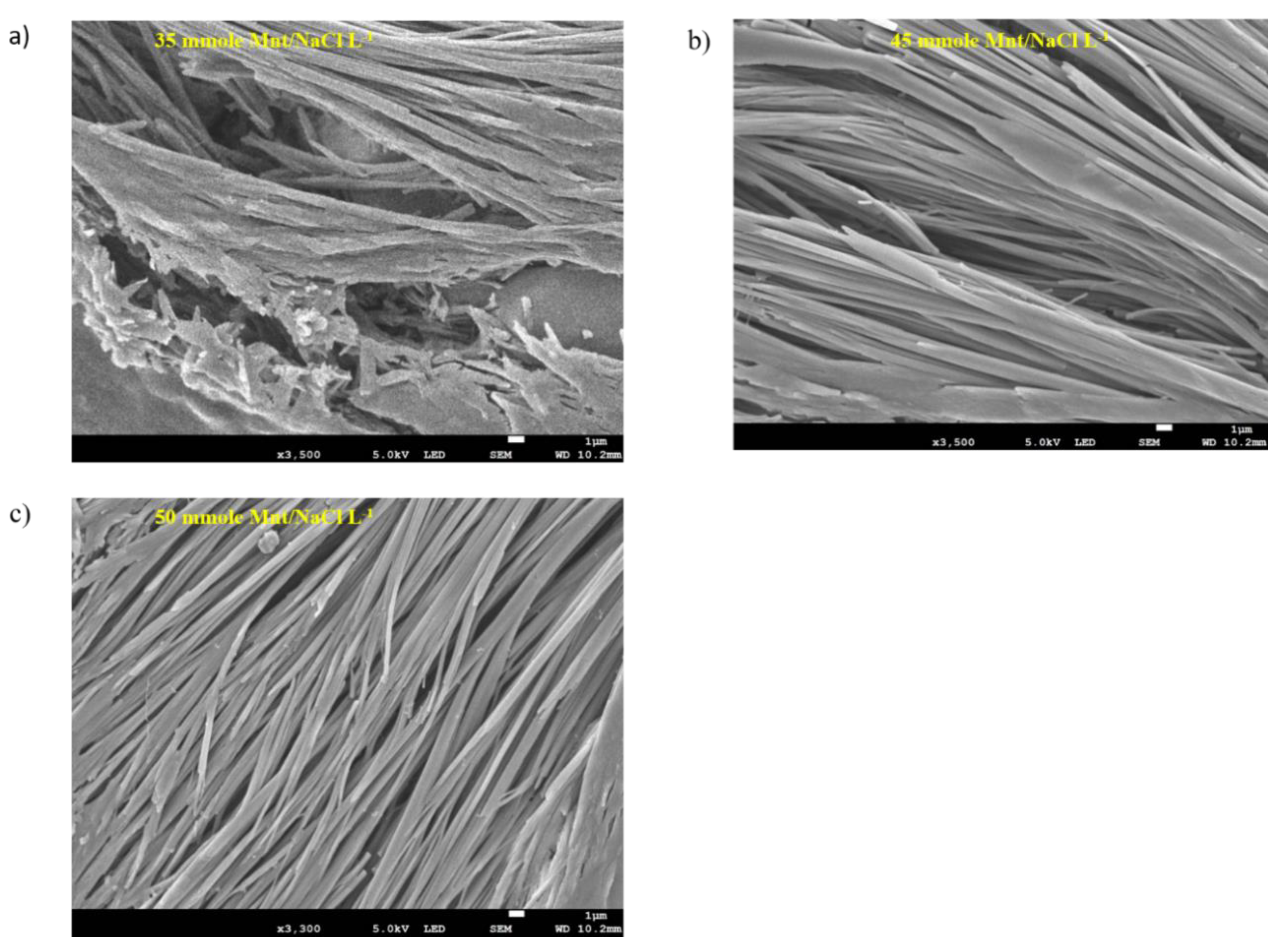 Pharmaceutics 12 01069 g006 Pharmaceutics 12 01069 g006