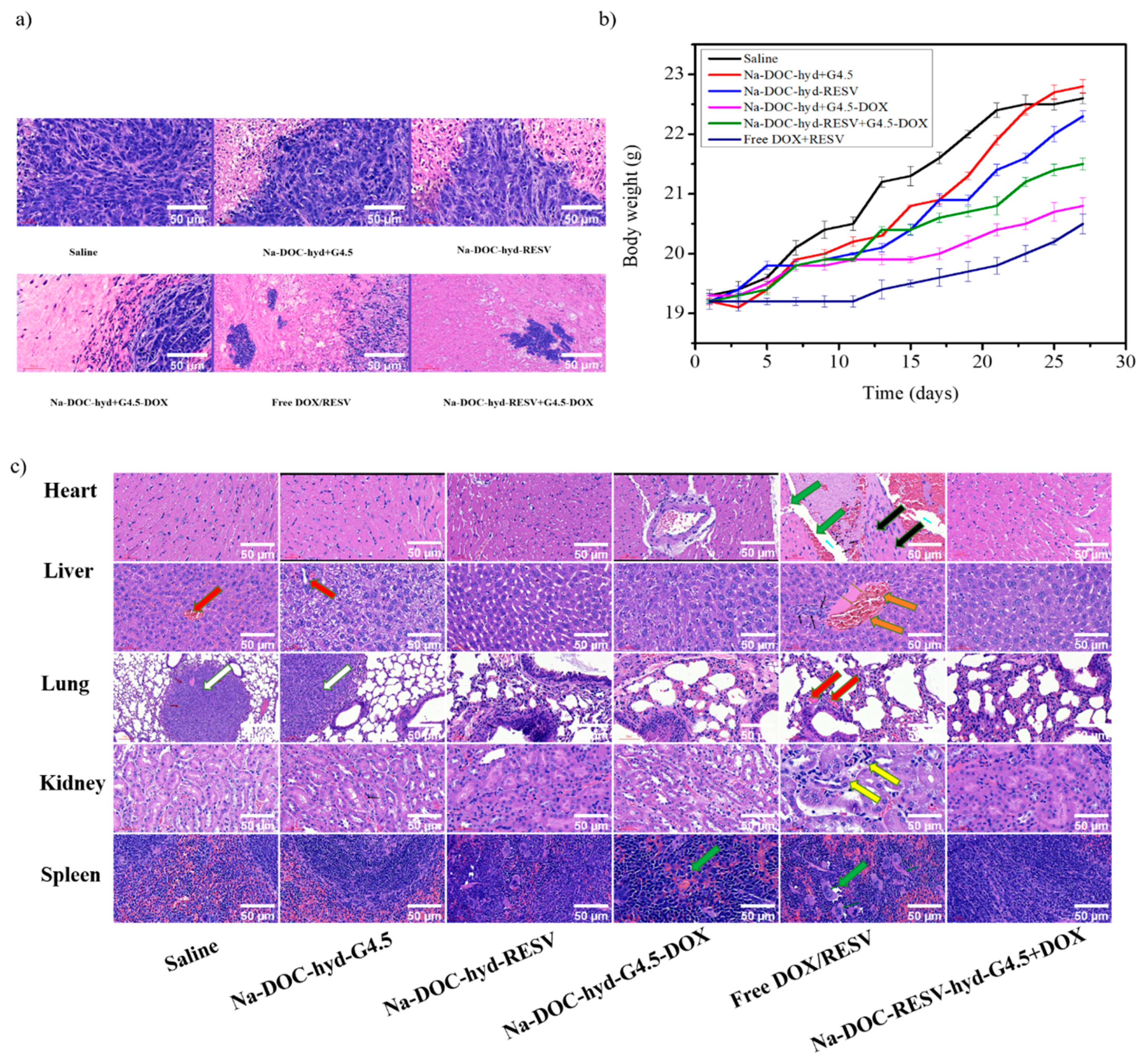 Pharmaceutics 12 01069 g011 Pharmaceutics 12 01069 g011