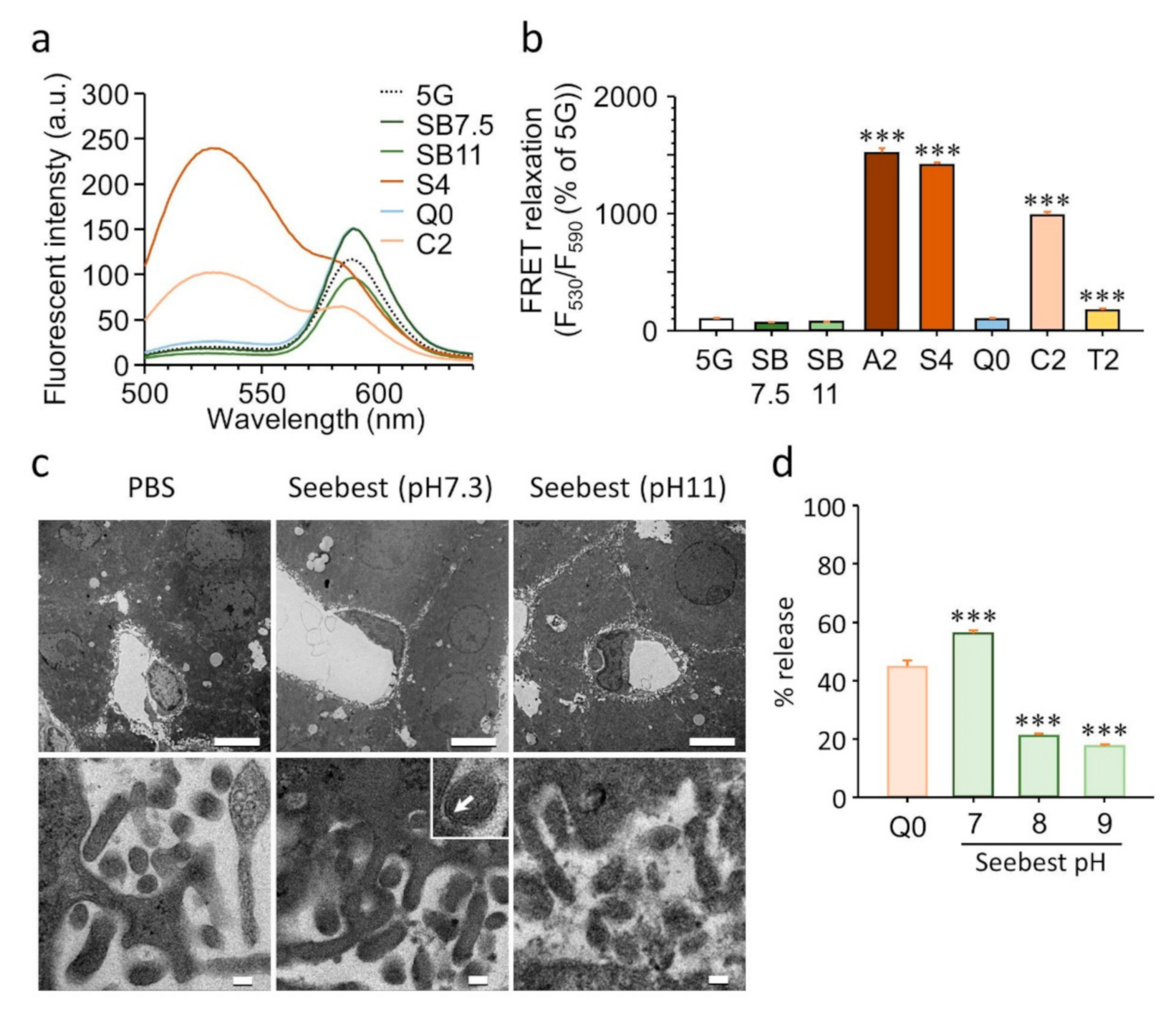 Pharmaceutics 12 01070 g003