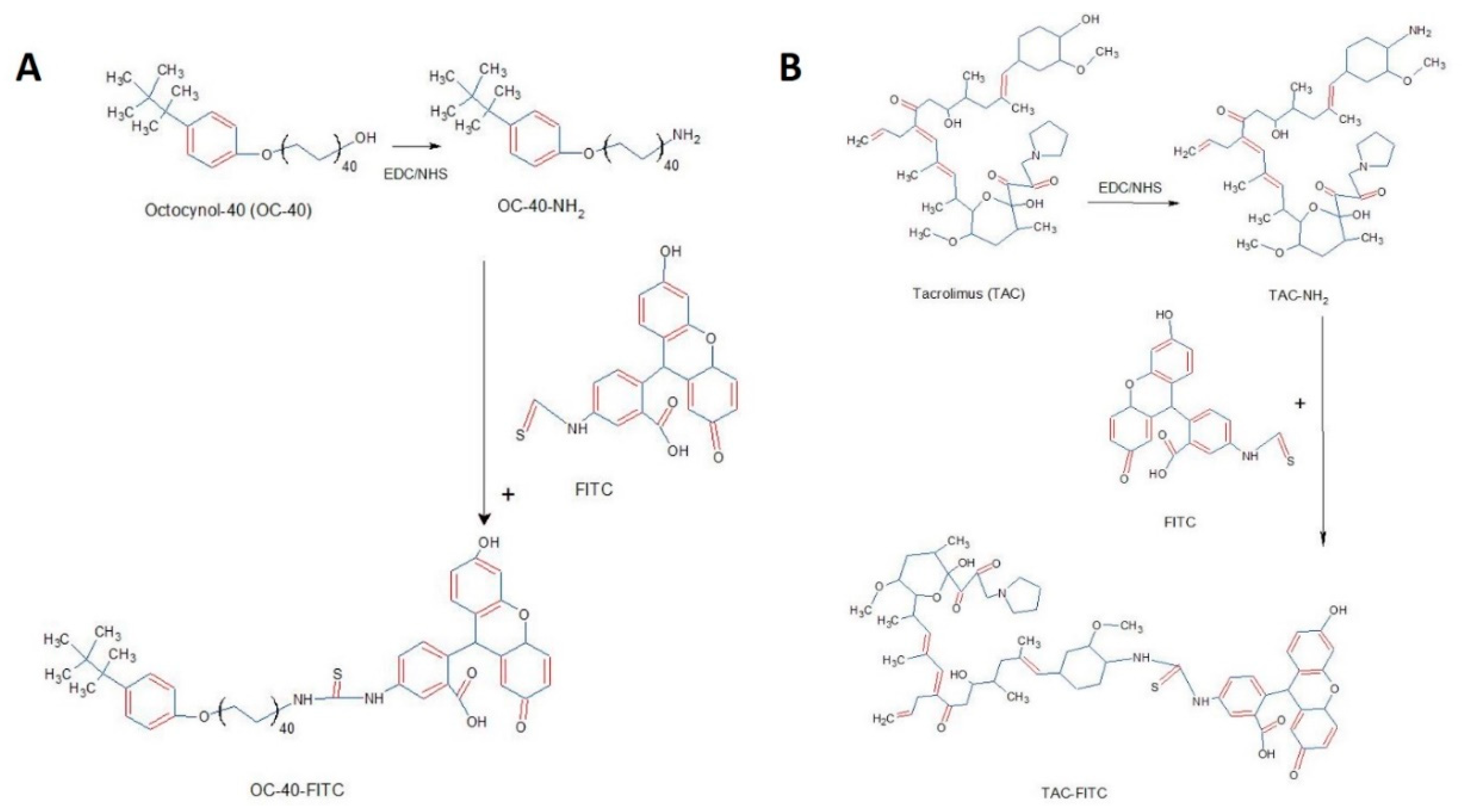 Pharmaceutics 12 01072 g002 Pharmaceutics 12 01072 g002