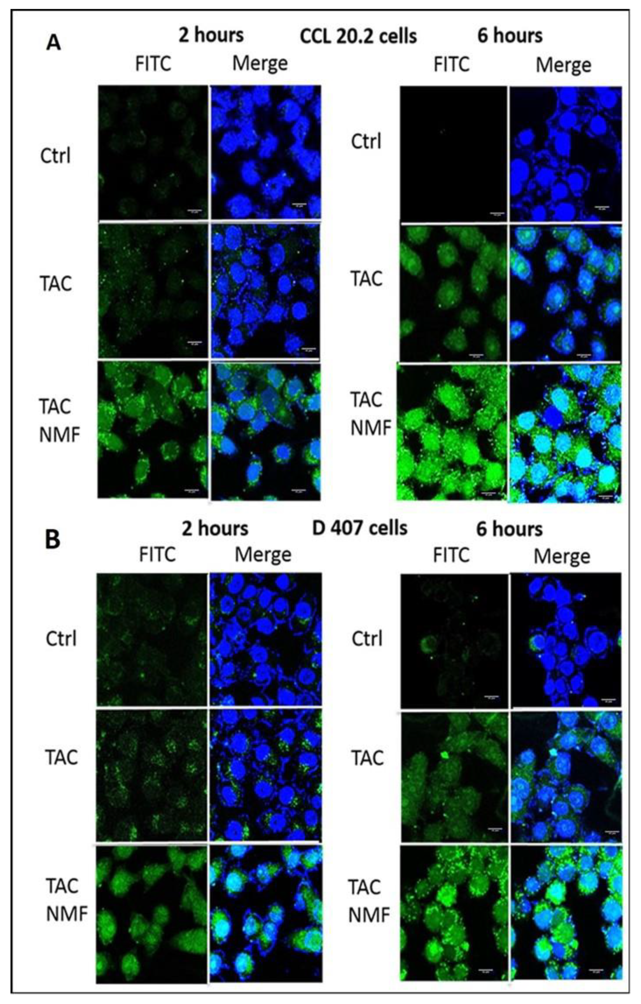 Pharmaceutics 12 01072 g011 Pharmaceutics 12 01072 g011