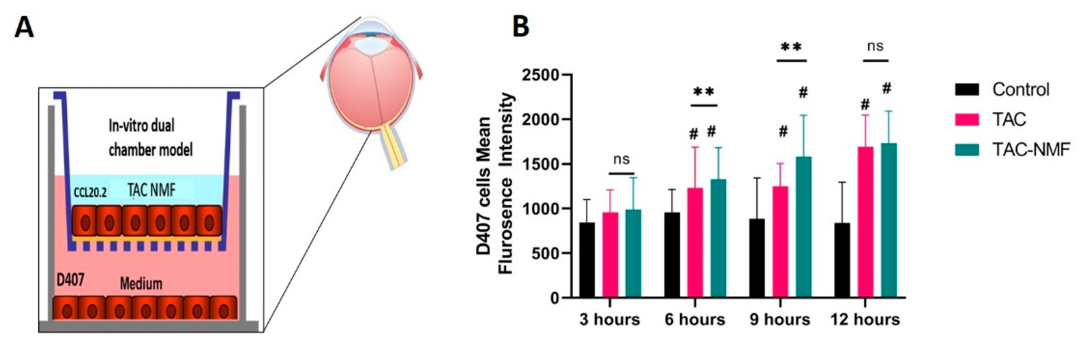 Pharmaceutics 12 01072 g012 Pharmaceutics 12 01072 g012