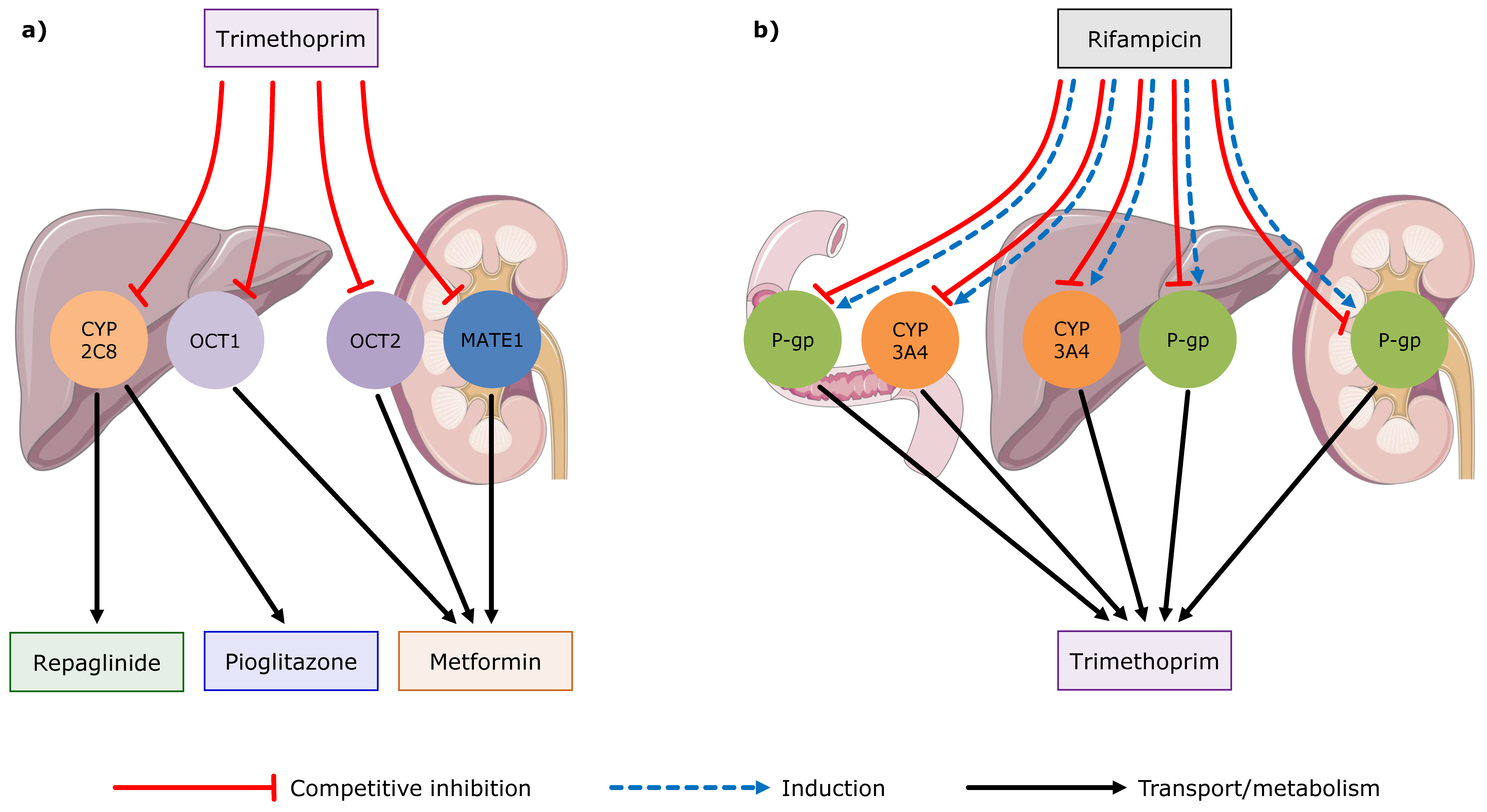 Pharmaceutics 12 01074 g005 Pharmaceutics 12 01074 g005