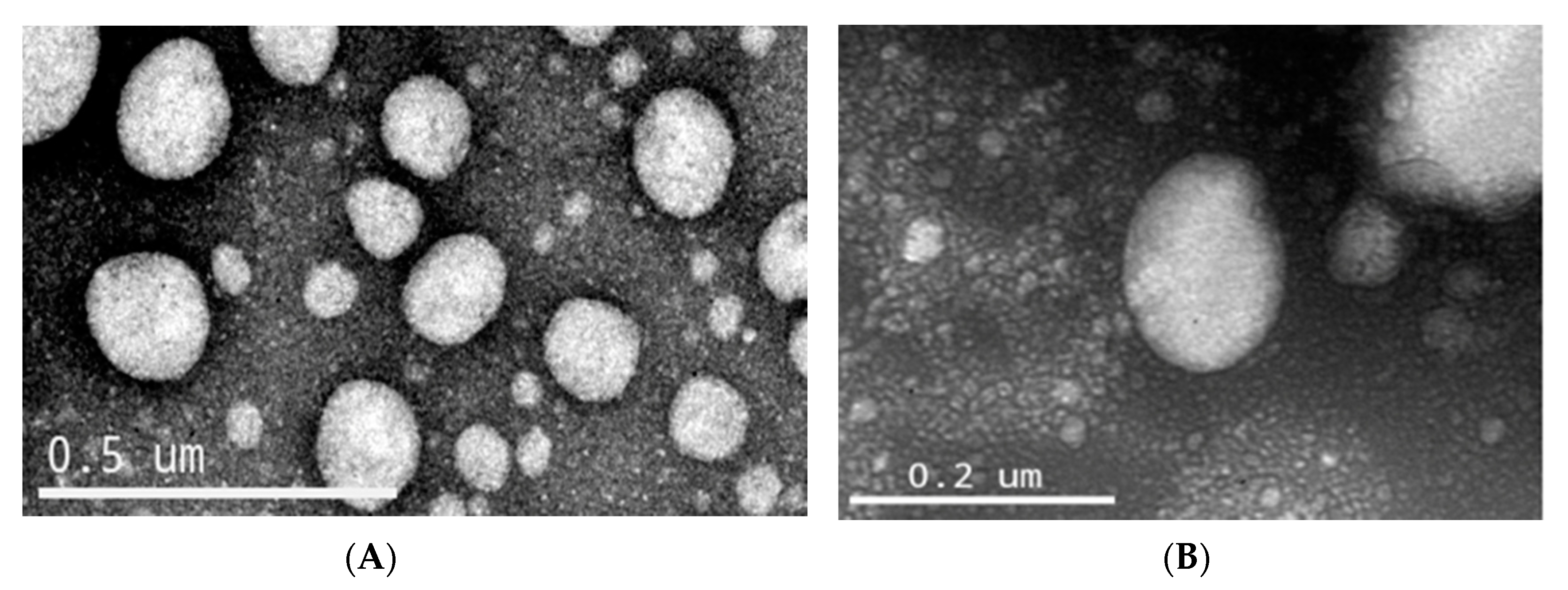 Pharmaceutics 12 01075 g001 Pharmaceutics 12 01075 g001