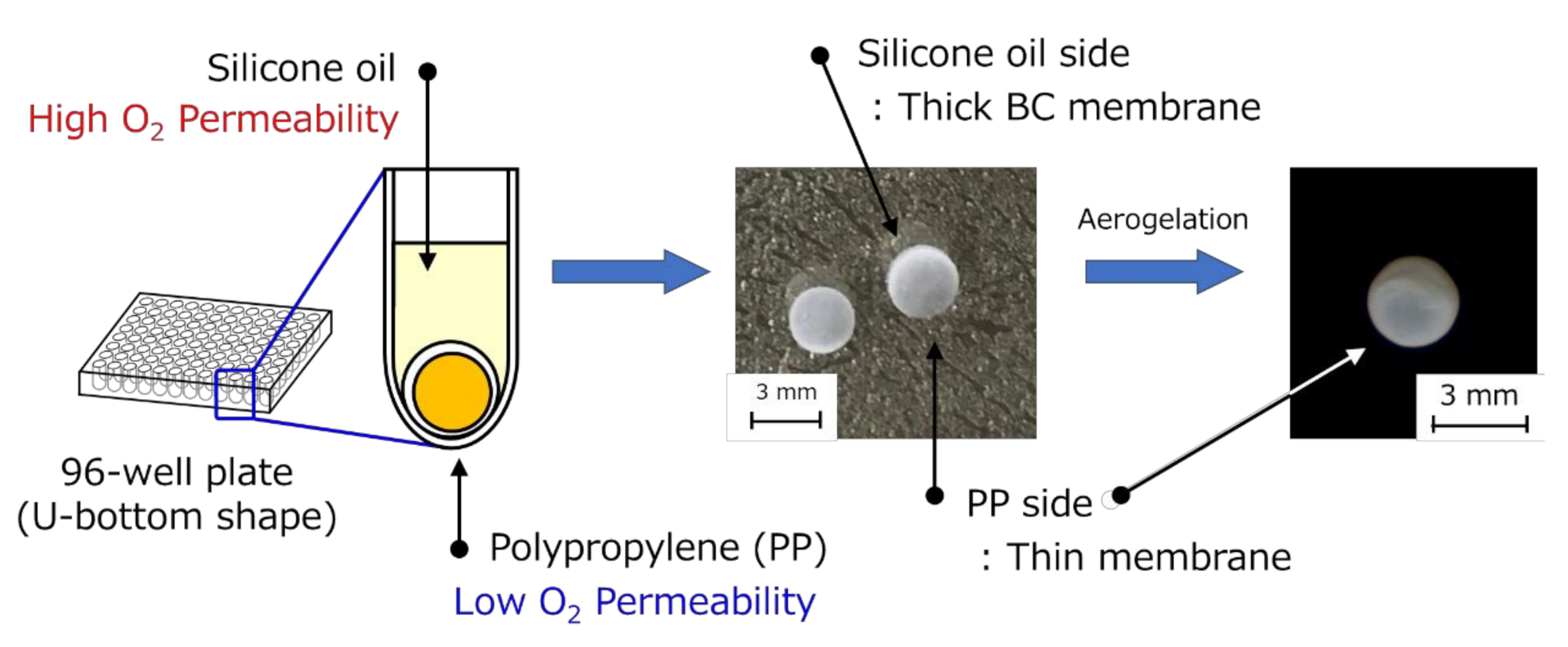 Pharmaceutics 12 01076 g002 Pharmaceutics 12 01076 g002
