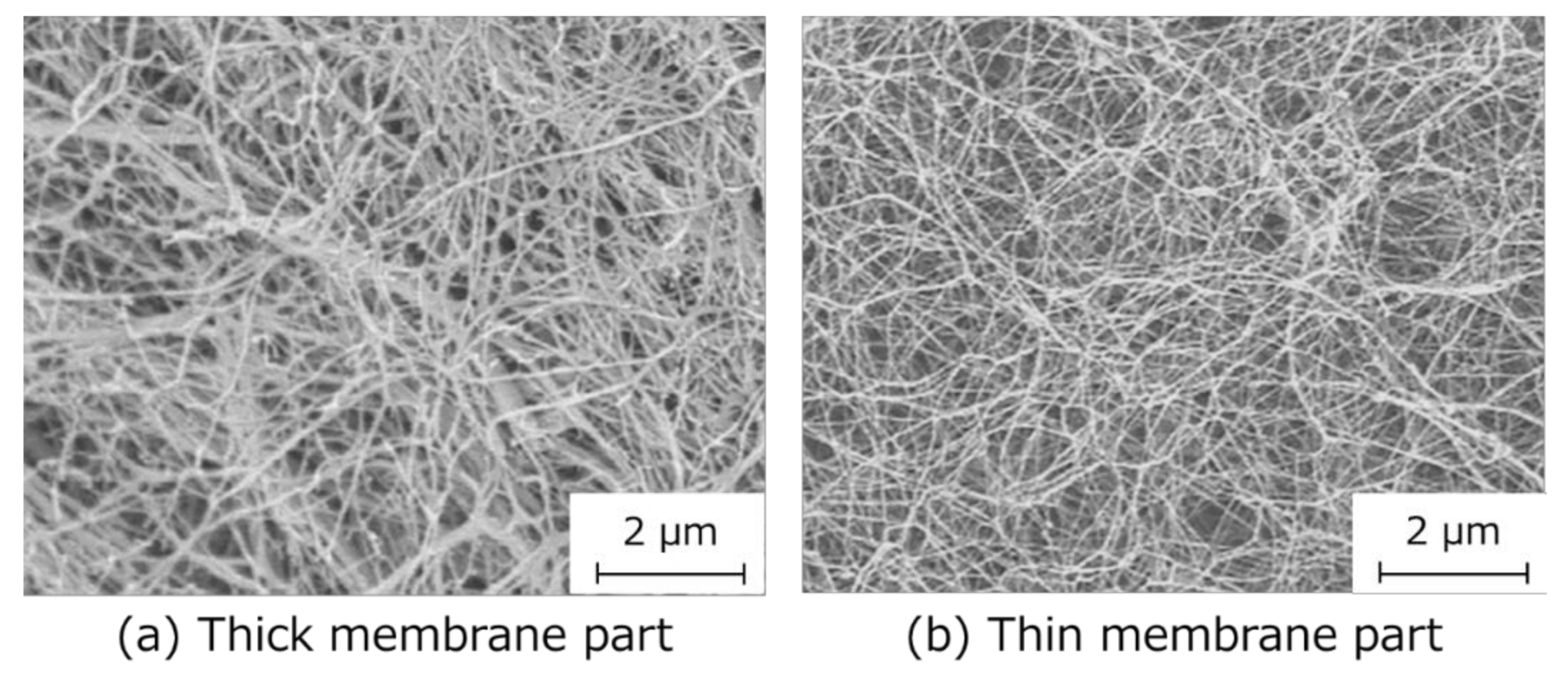 Pharmaceutics 12 01076 g003 Pharmaceutics 12 01076 g003
