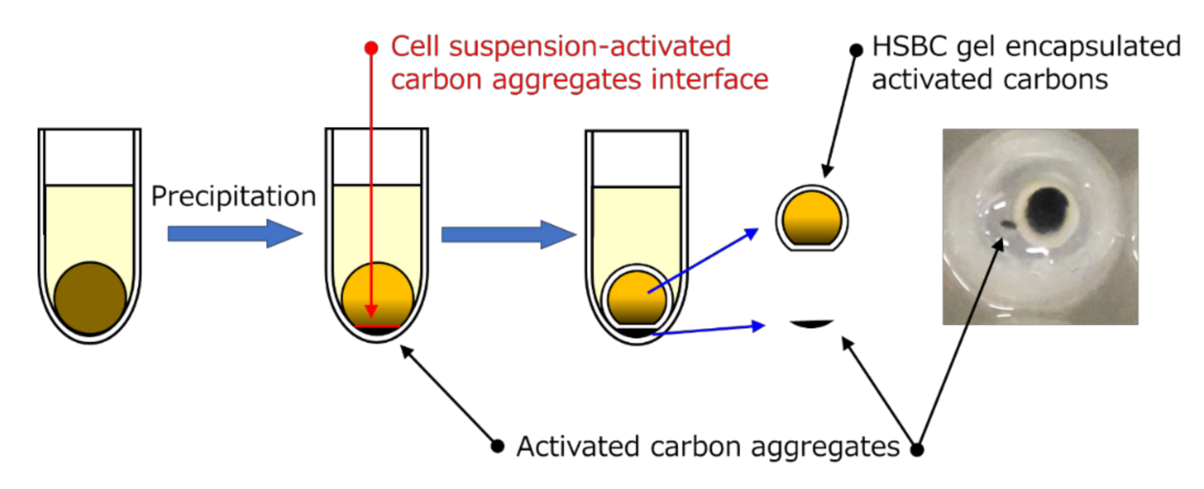 Pharmaceutics 12 01076 g006 Pharmaceutics 12 01076 g006