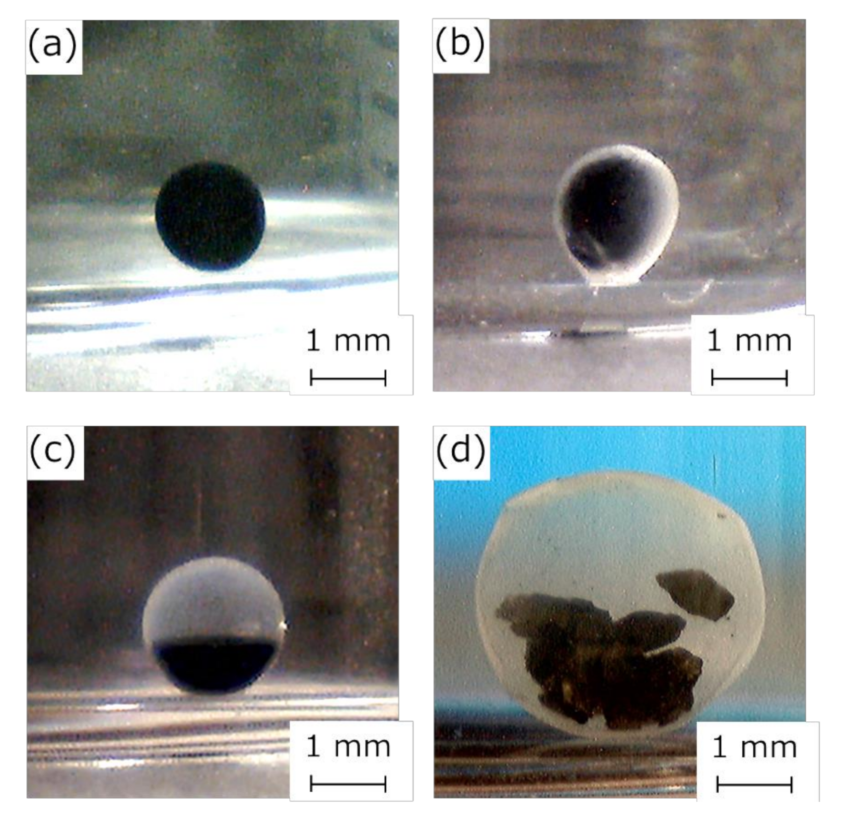 Pharmaceutics 12 01076 g007 Pharmaceutics 12 01076 g007