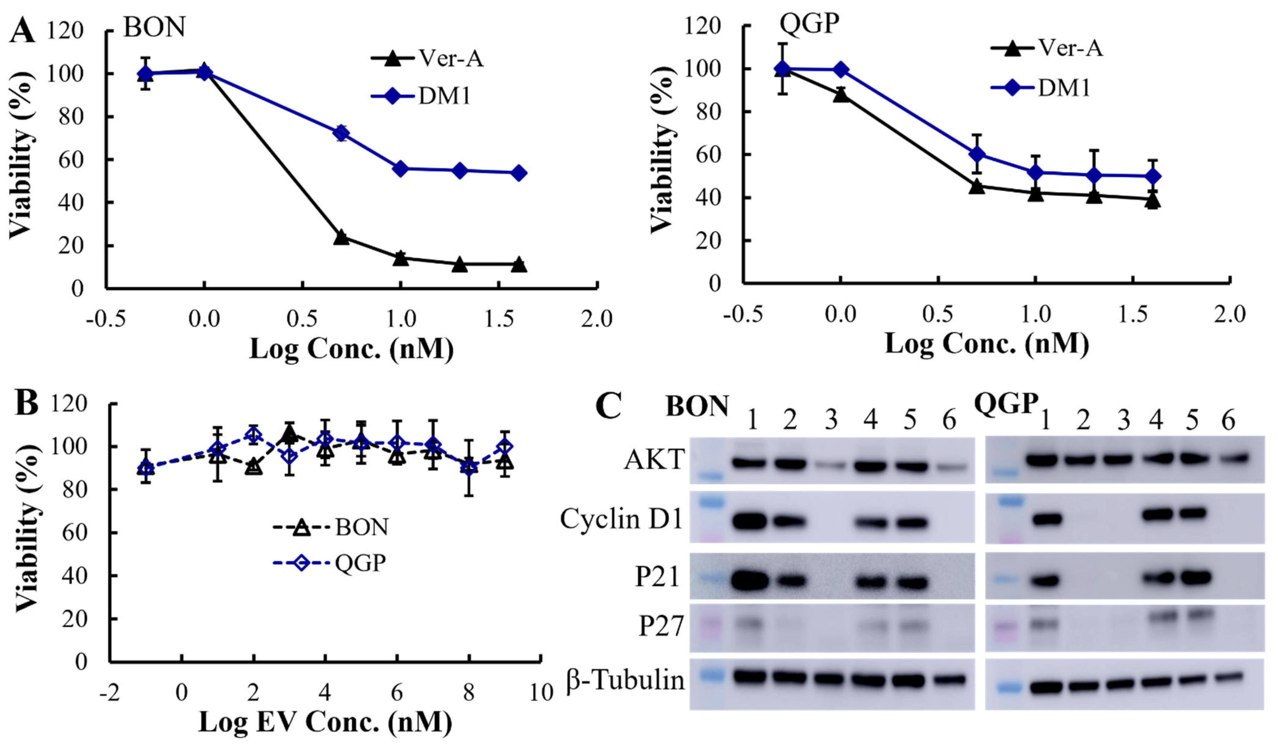 Pharmaceutics 12 01079 g003 Pharmaceutics 12 01079 g003