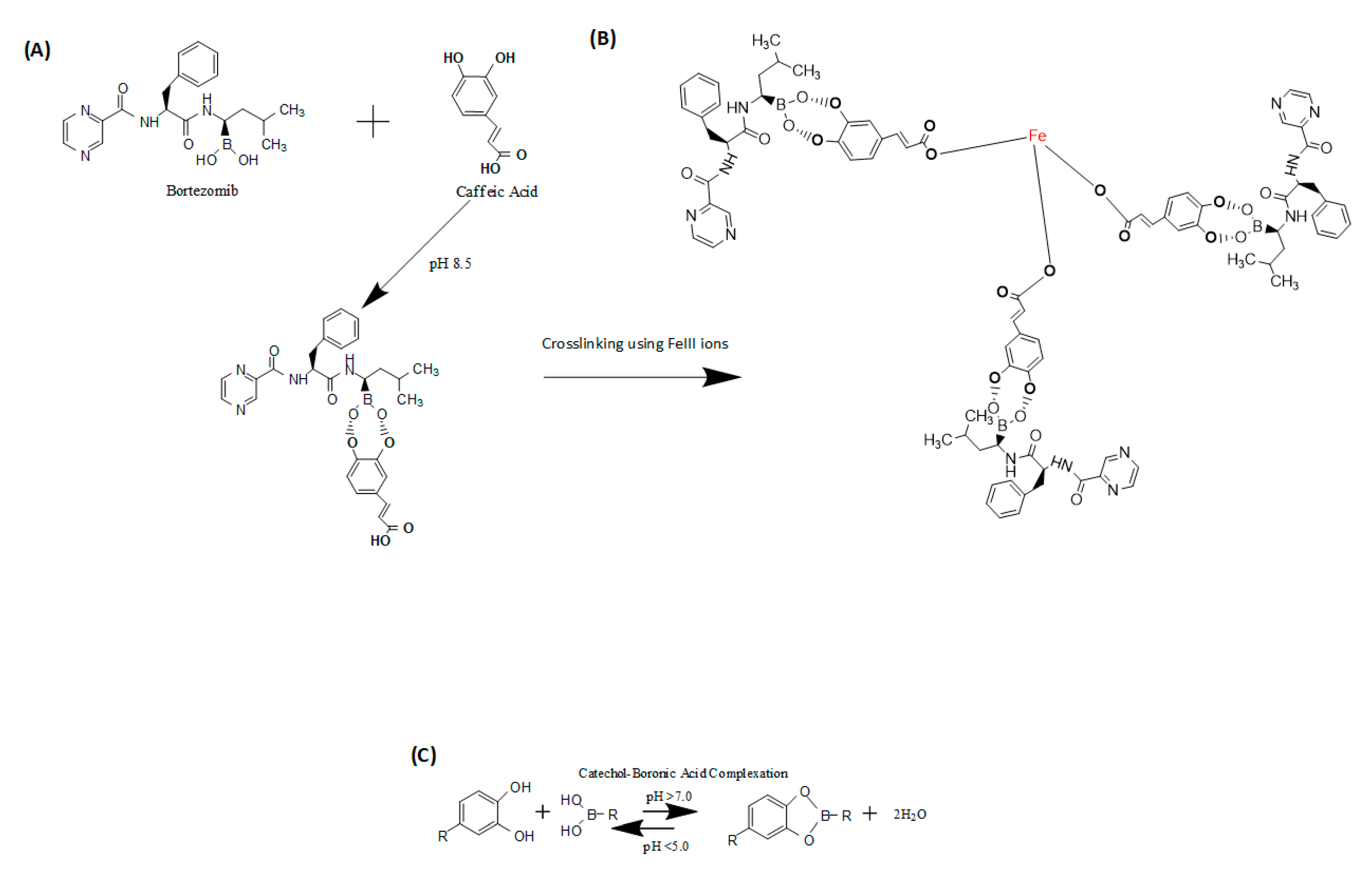 Pharmaceutics 12 01082 g001 Pharmaceutics 12 01082 g001