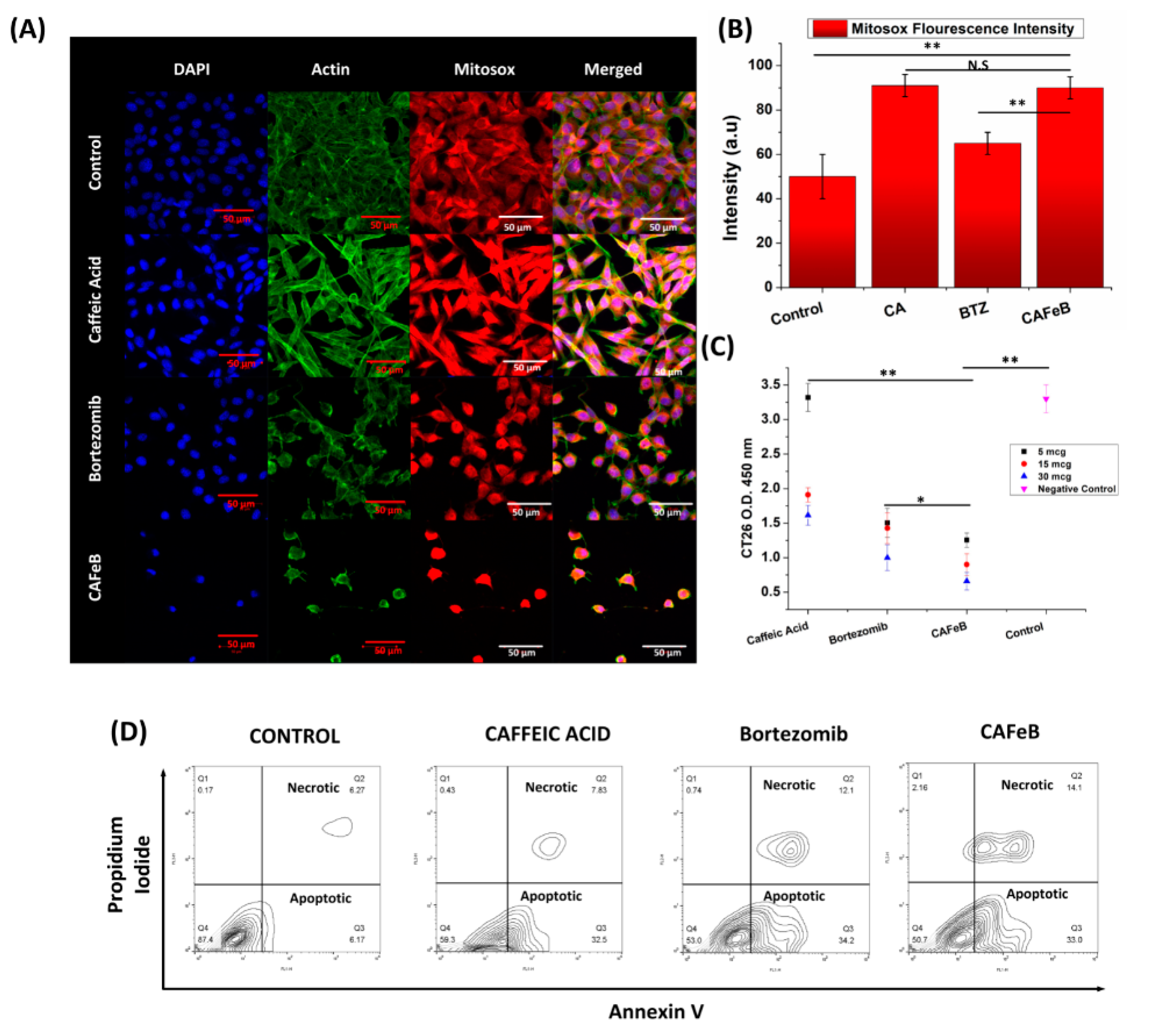 Pharmaceutics 12 01082 g003 Pharmaceutics 12 01082 g003