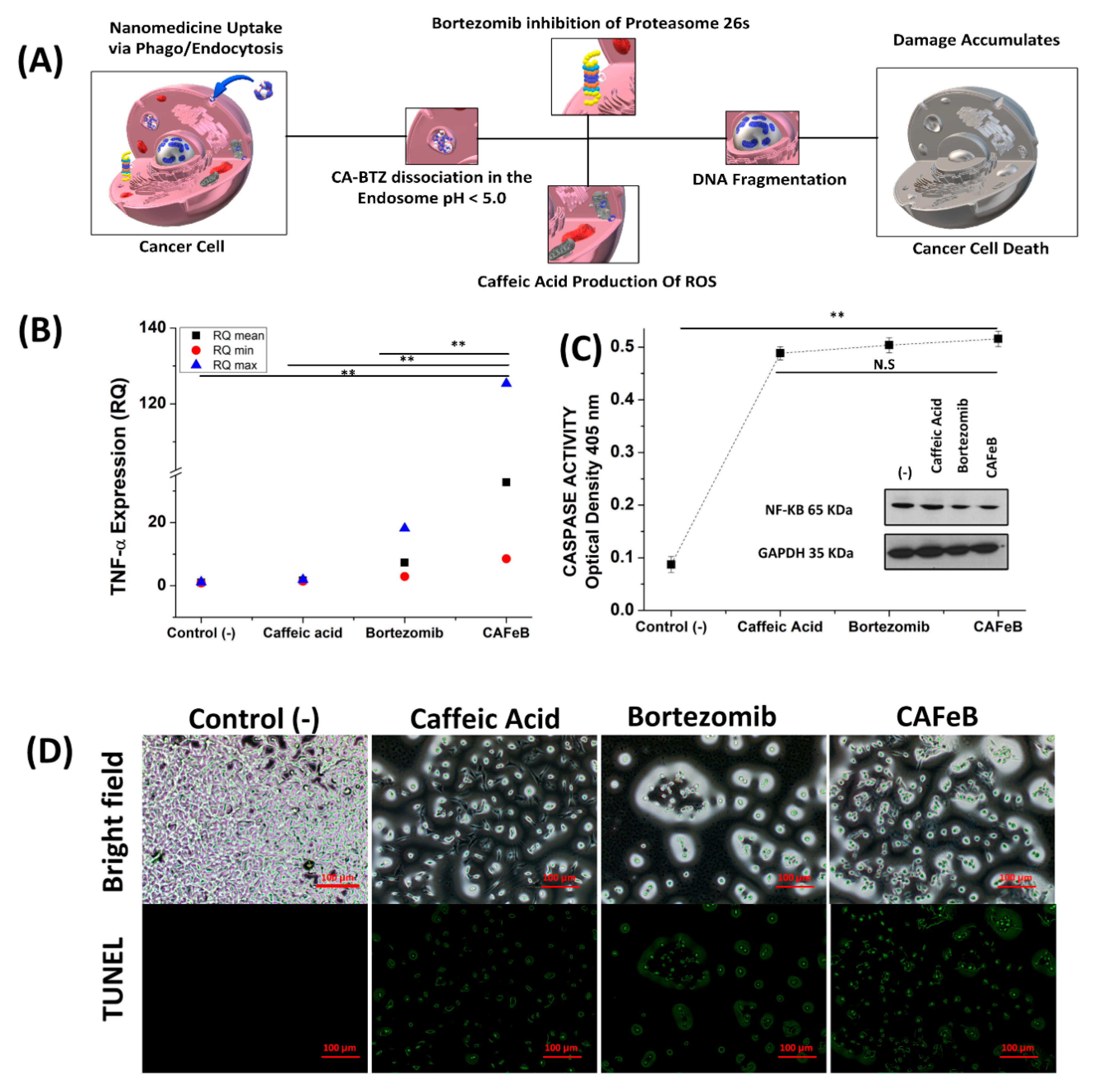 Pharmaceutics 12 01082 g004 Pharmaceutics 12 01082 g004