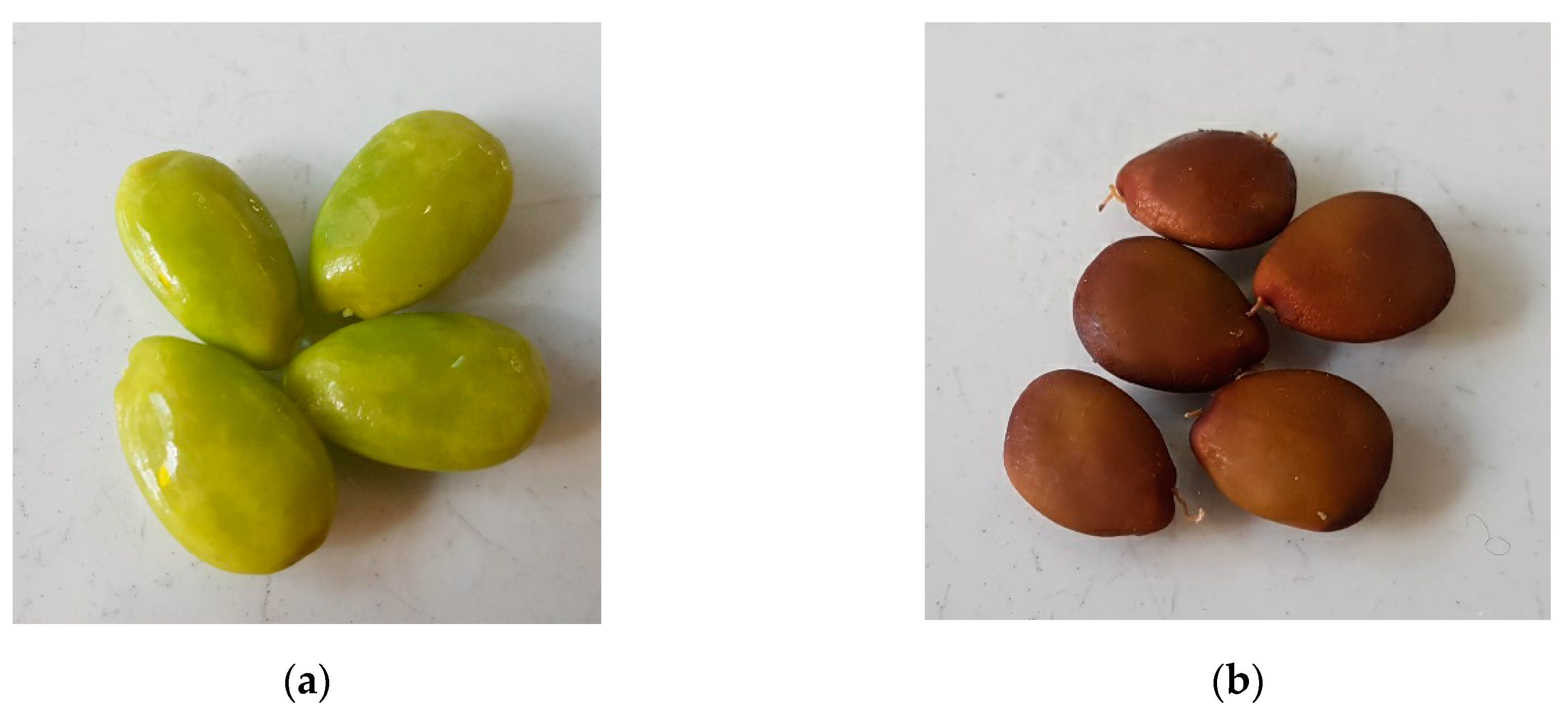 Pharmaceutics 12 01090 g006