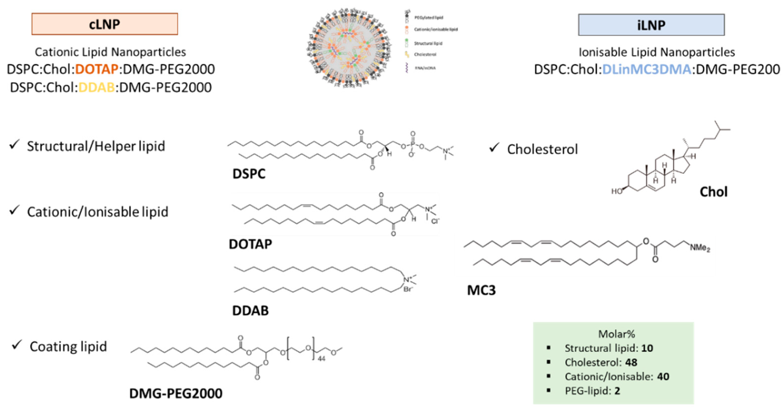 Pharmaceutics 12 01095 g001