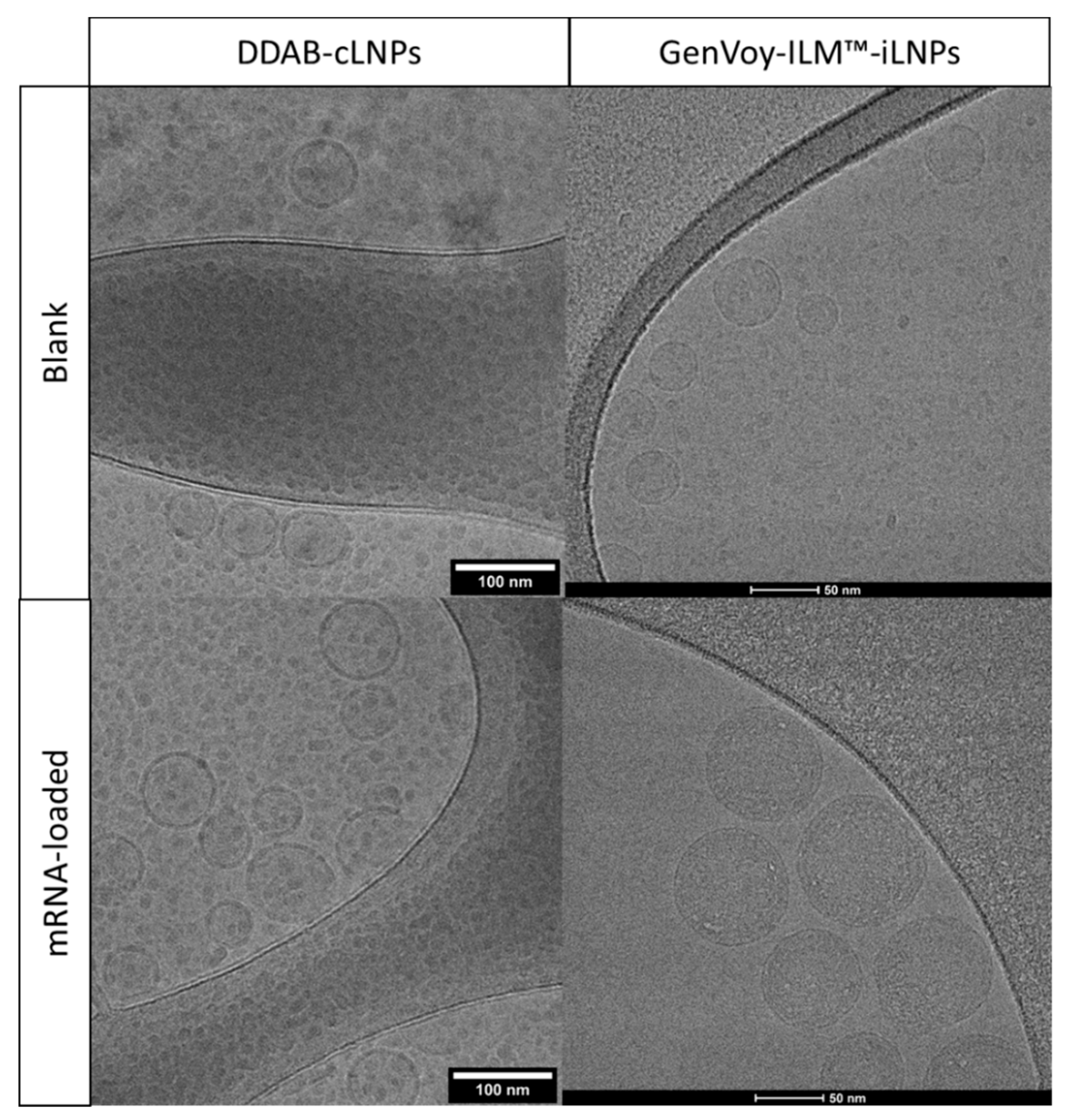 Pharmaceutics 12 01095 g009