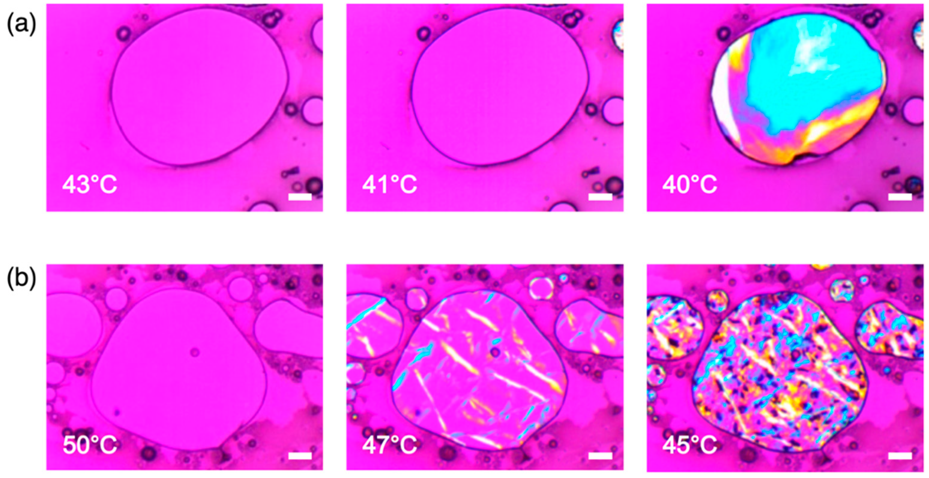 Pharmaceutics 12 01098 g003 Pharmaceutics 12 01098 g003