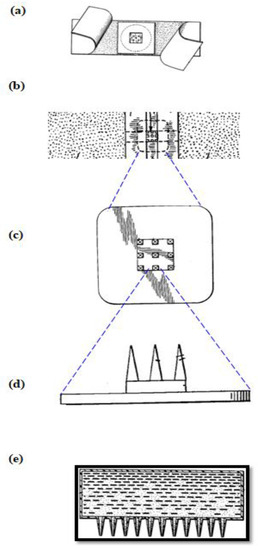 Pharmaceutics 12 01101 g001 550