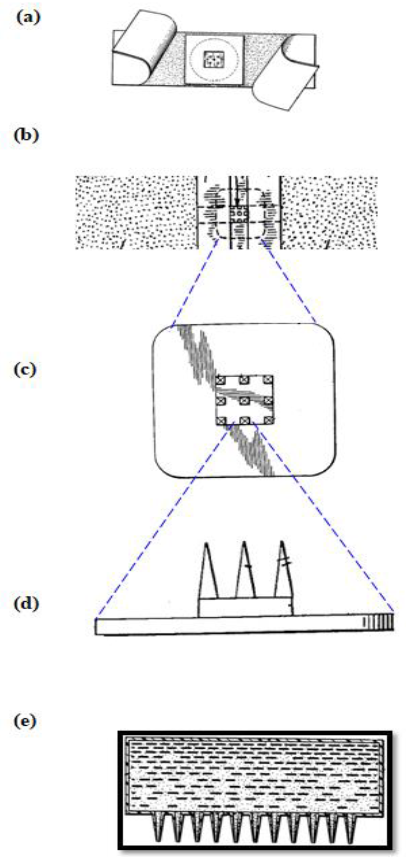 Pharmaceutics 12 01101 g001