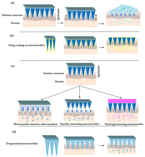 Pharmaceutics 12 01101 g002 550