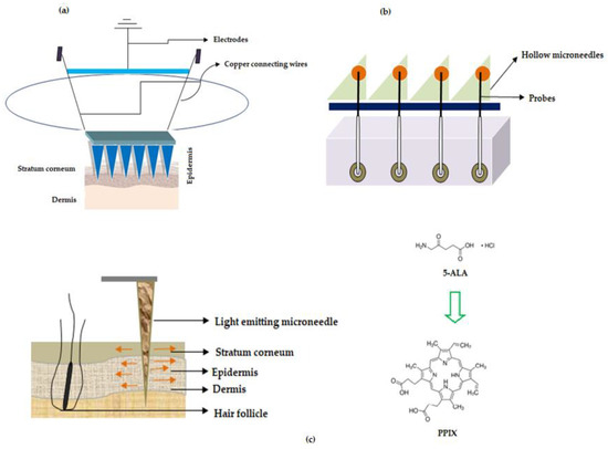 Pharmaceutics 12 01101 g006 550