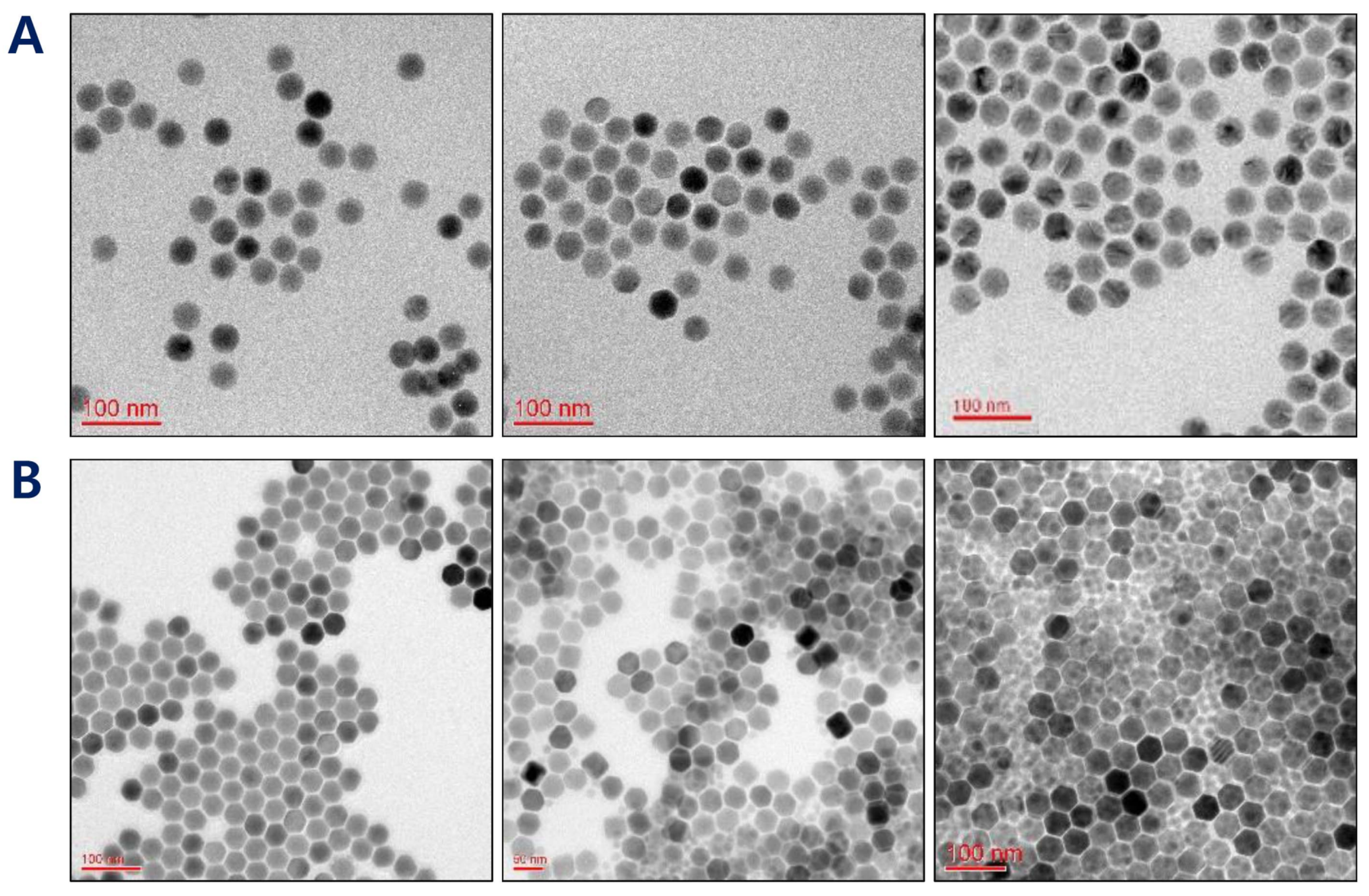 Pharmaceutics 12 01102 g002 Pharmaceutics 12 01102 g002