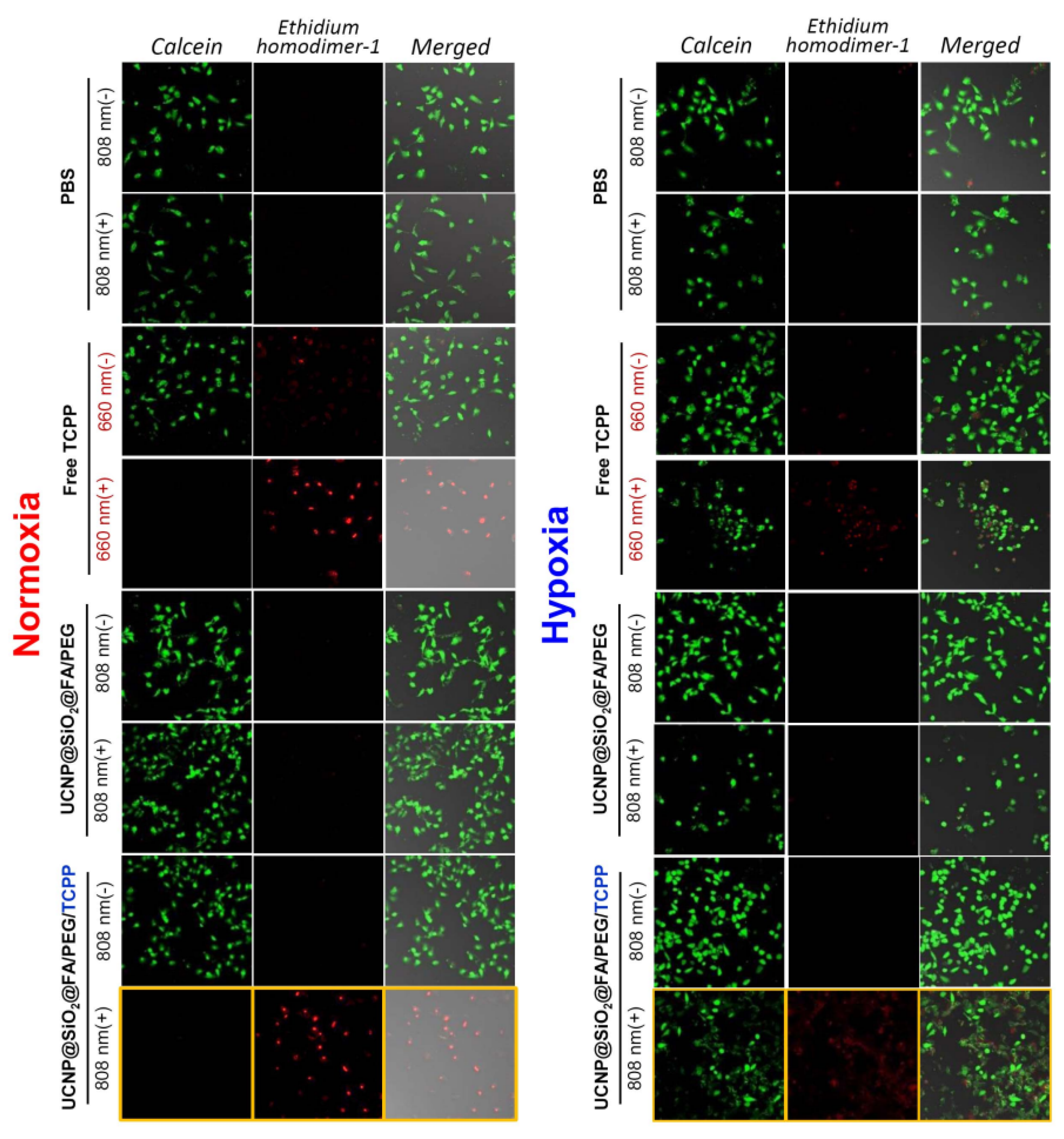 Pharmaceutics 12 01102 g007 Pharmaceutics 12 01102 g007