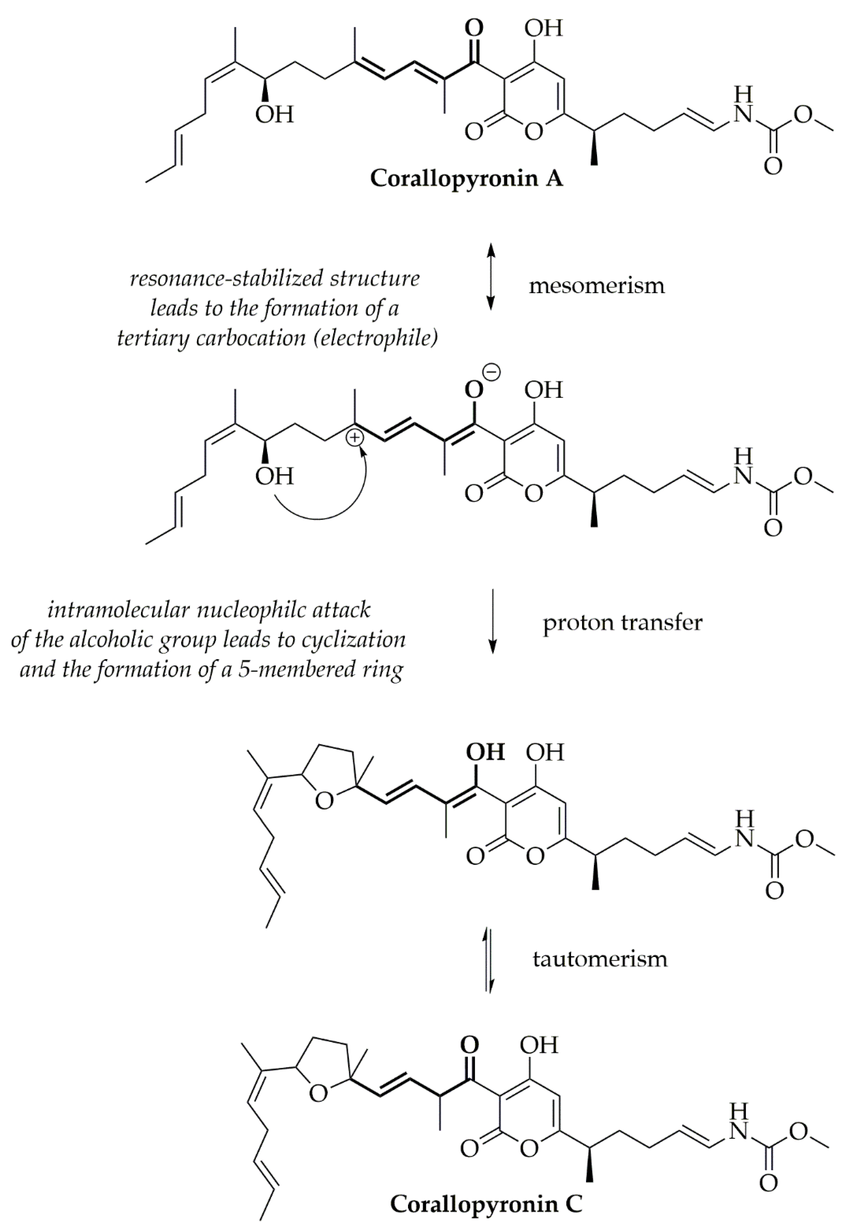 Pharmaceutics 12 01105 g009 Pharmaceutics 12 01105 g009