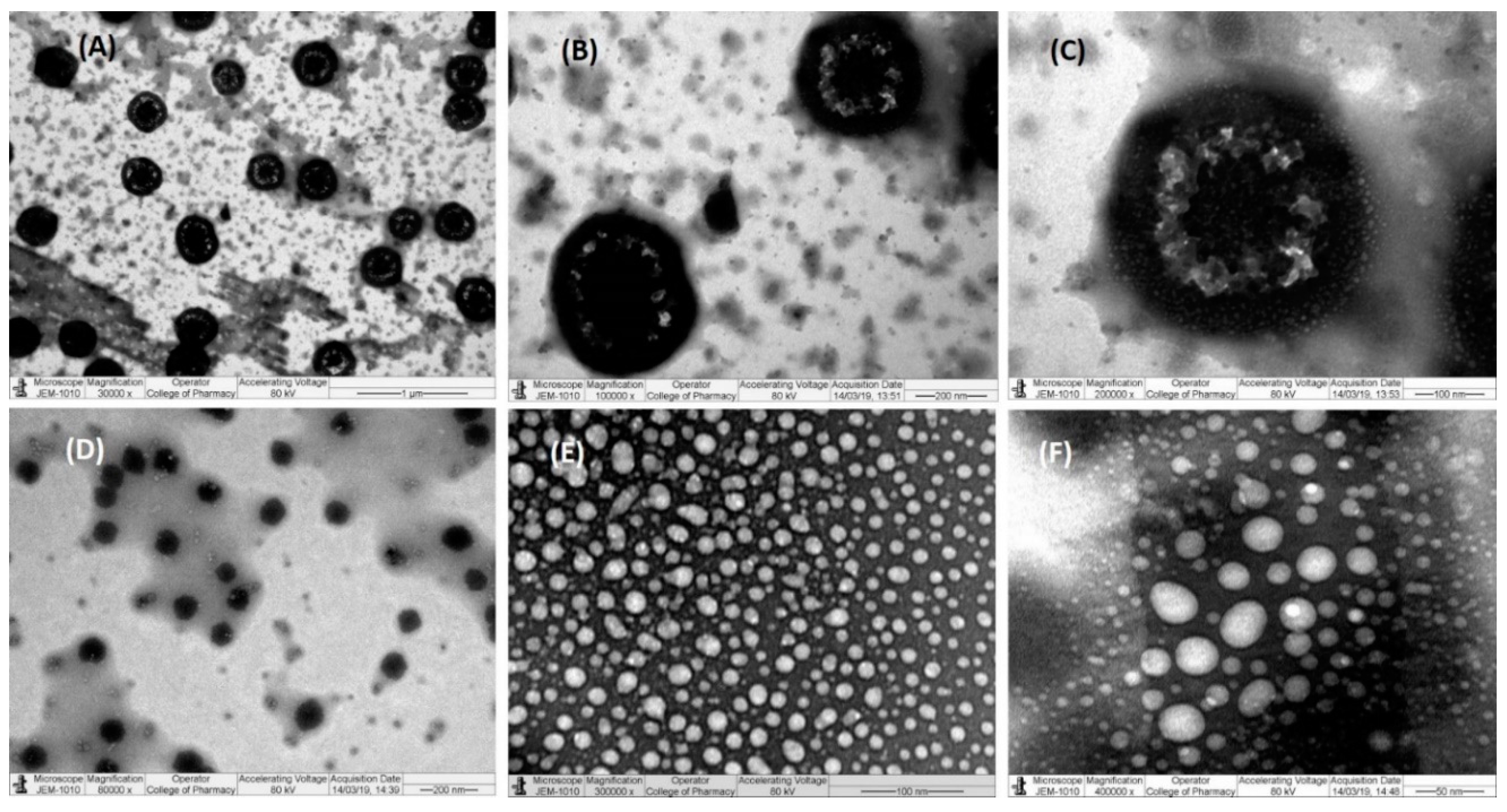 Pharmaceutics 12 01107 g006 Pharmaceutics 12 01107 g006
