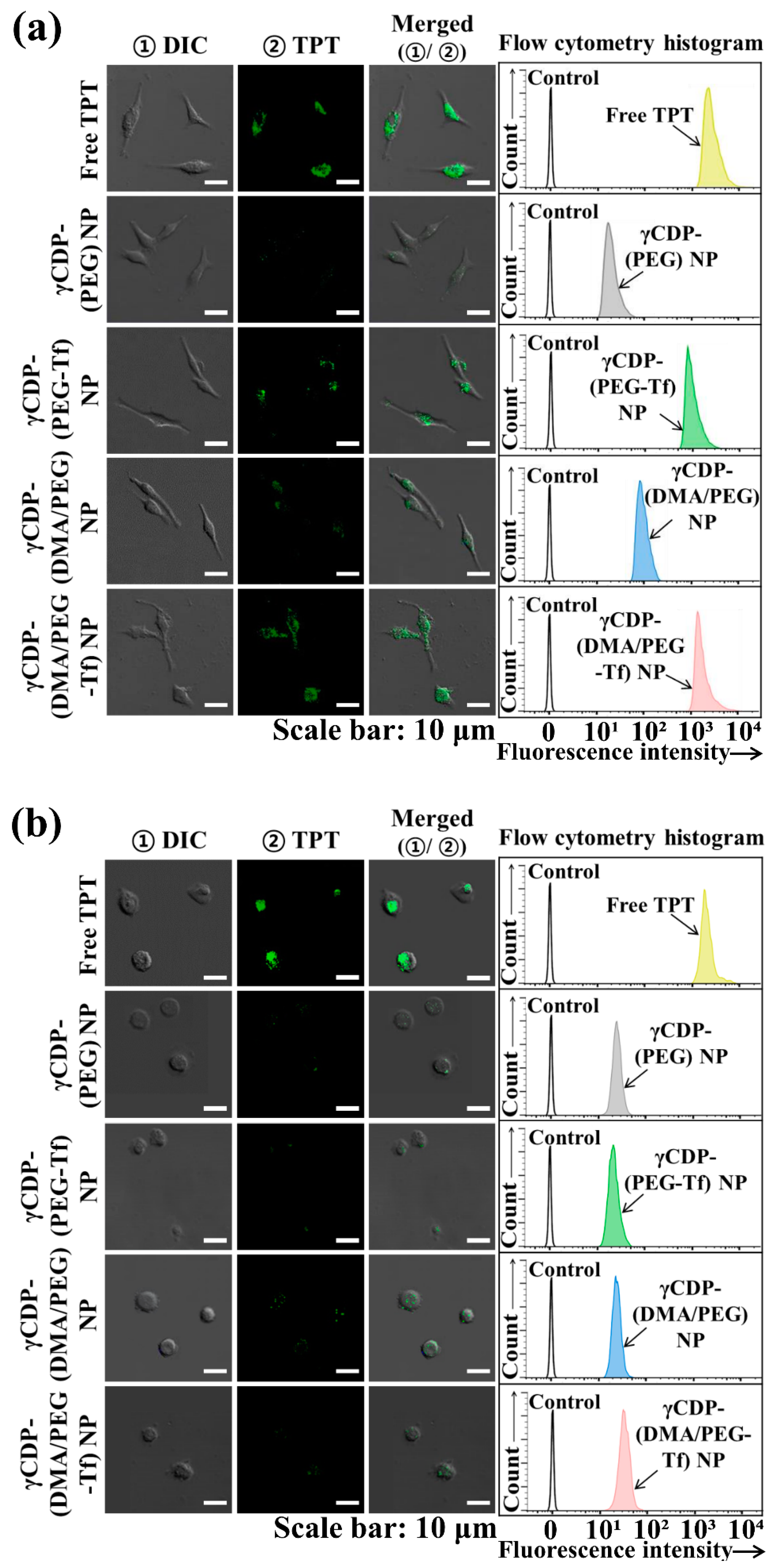 Pharmaceutics 12 01109 g004 Pharmaceutics 12 01109 g004