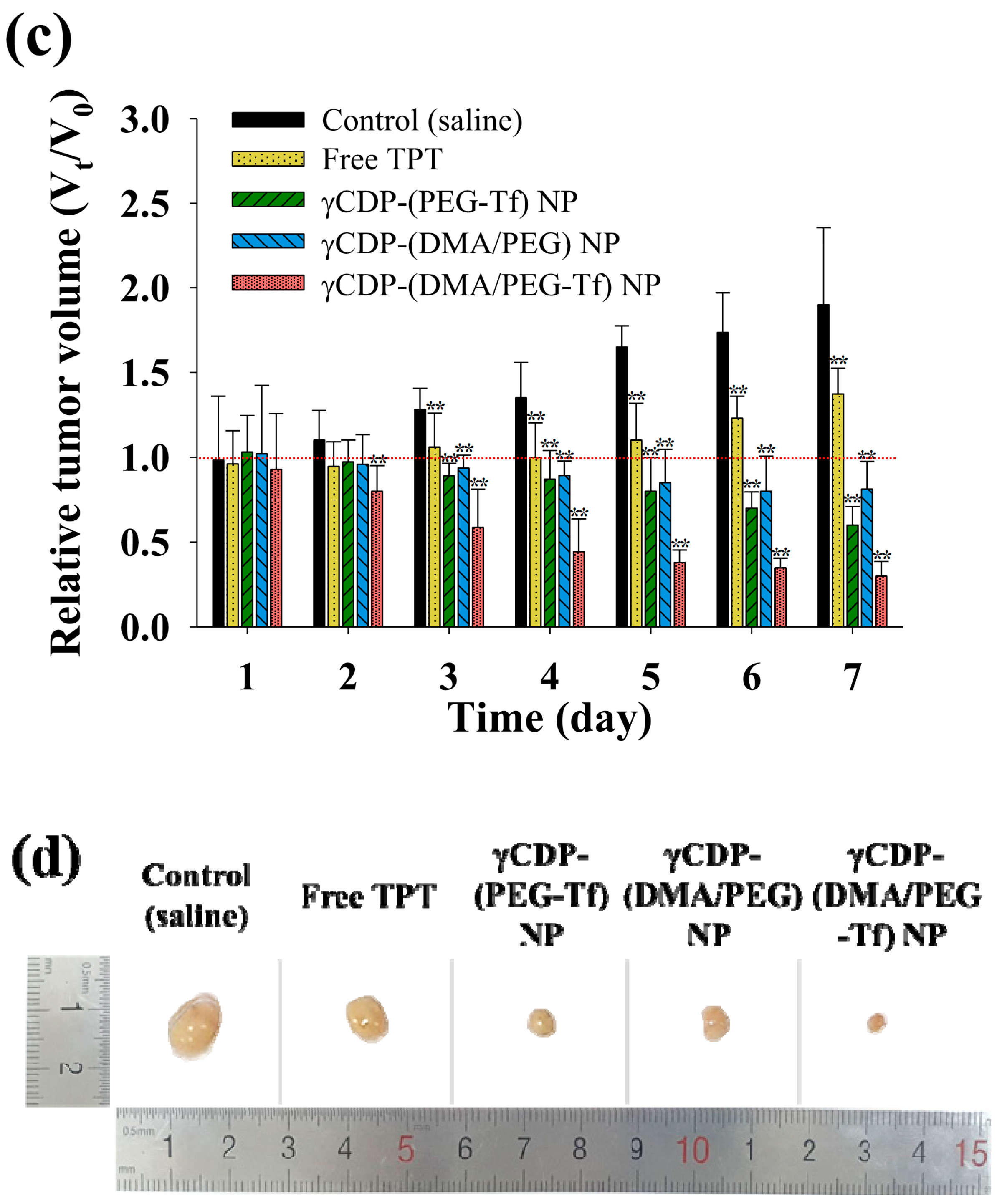 Pharmaceutics 12 01109 g007b Pharmaceutics 12 01109 g007b