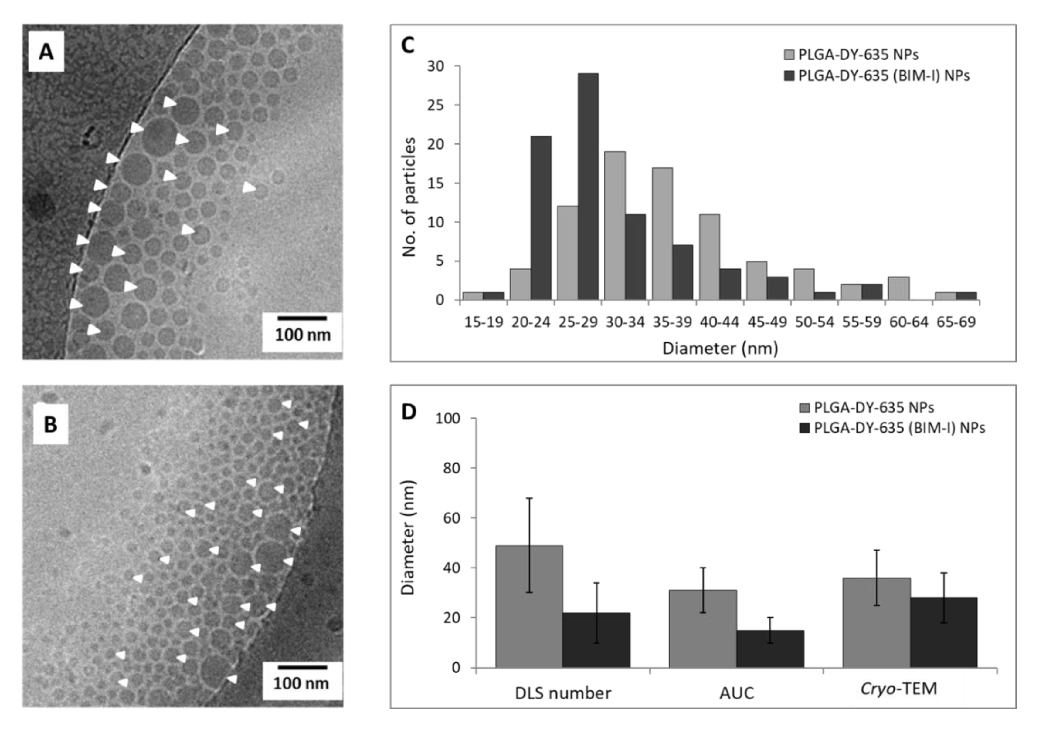Formulation of Liver-Specific PLGA-DY-635 Nanoparticles