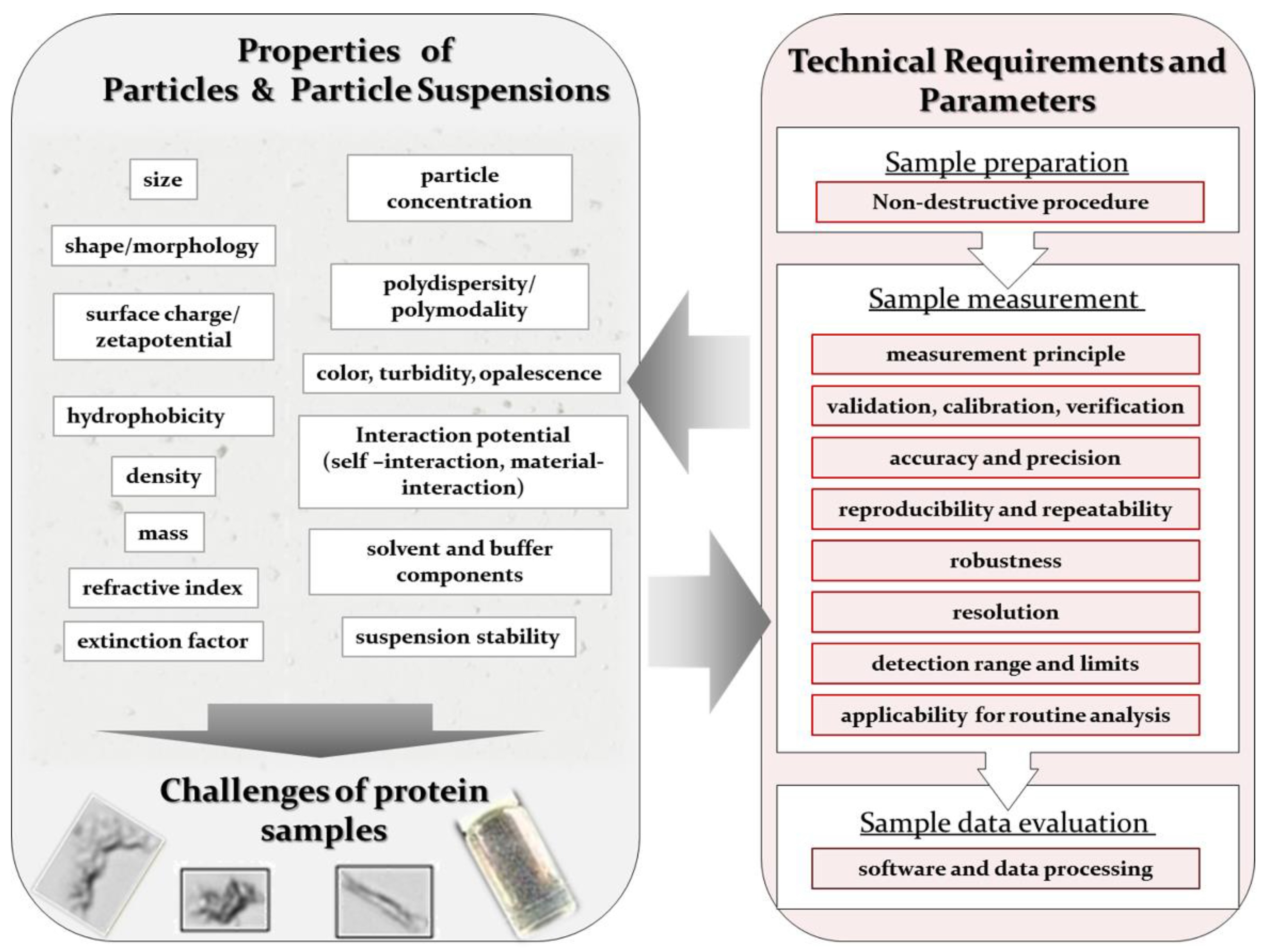 Pharmaceutics 12 01112 g001 Pharmaceutics 12 01112 g001