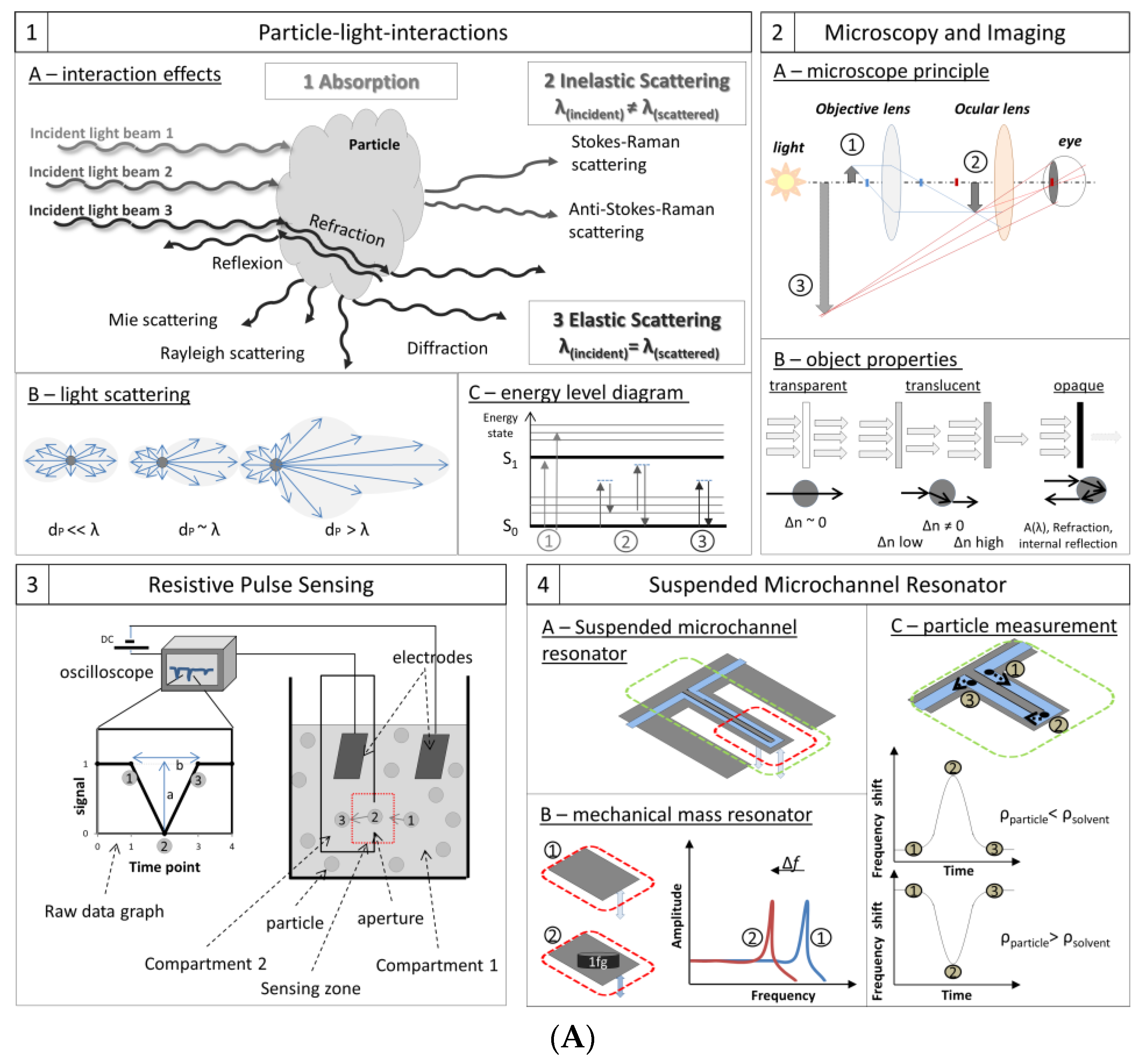 Pharmaceutics 12 01112 g003a Pharmaceutics 12 01112 g003a