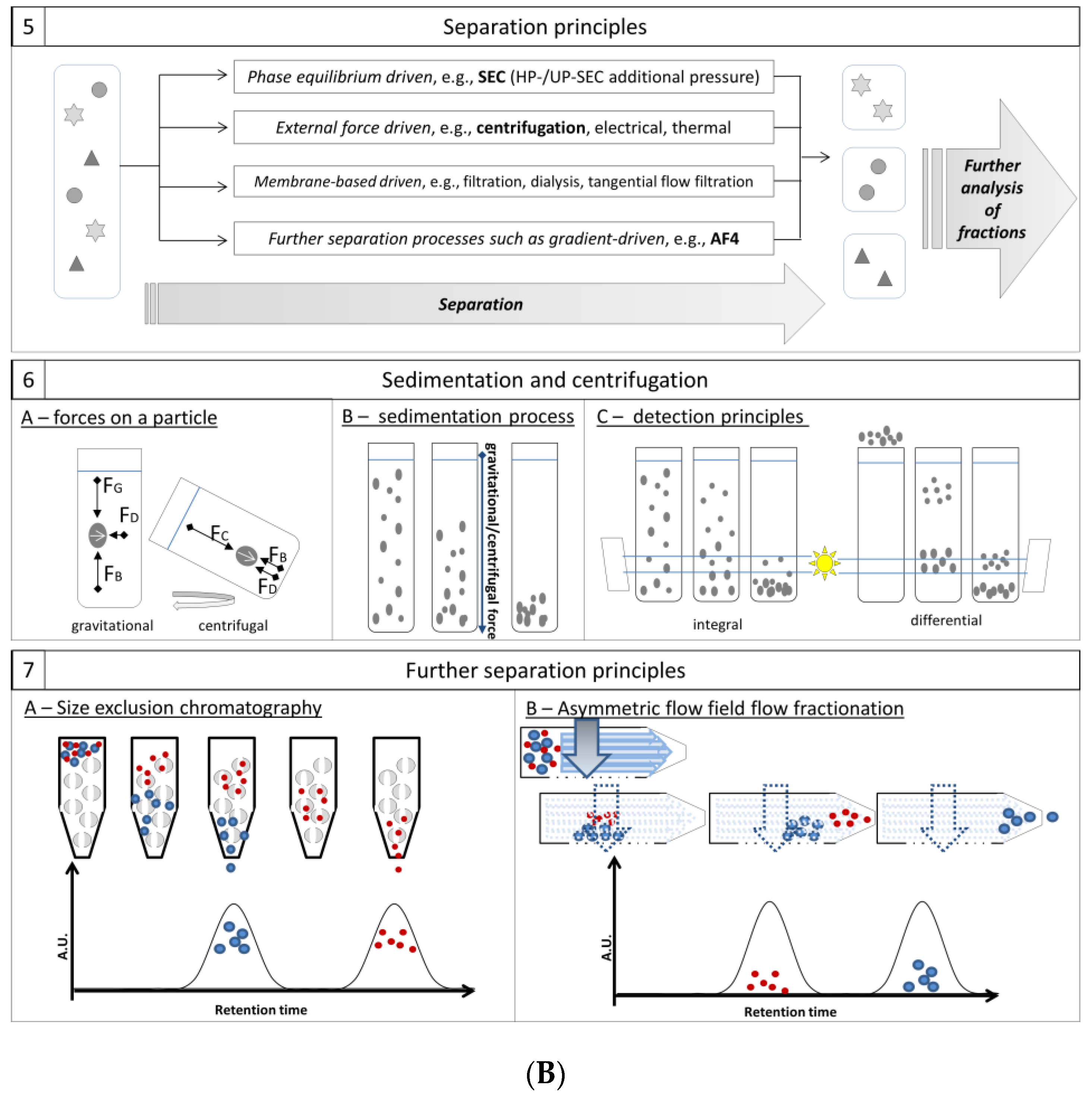 Pharmaceutics 12 01112 g003b Pharmaceutics 12 01112 g003b