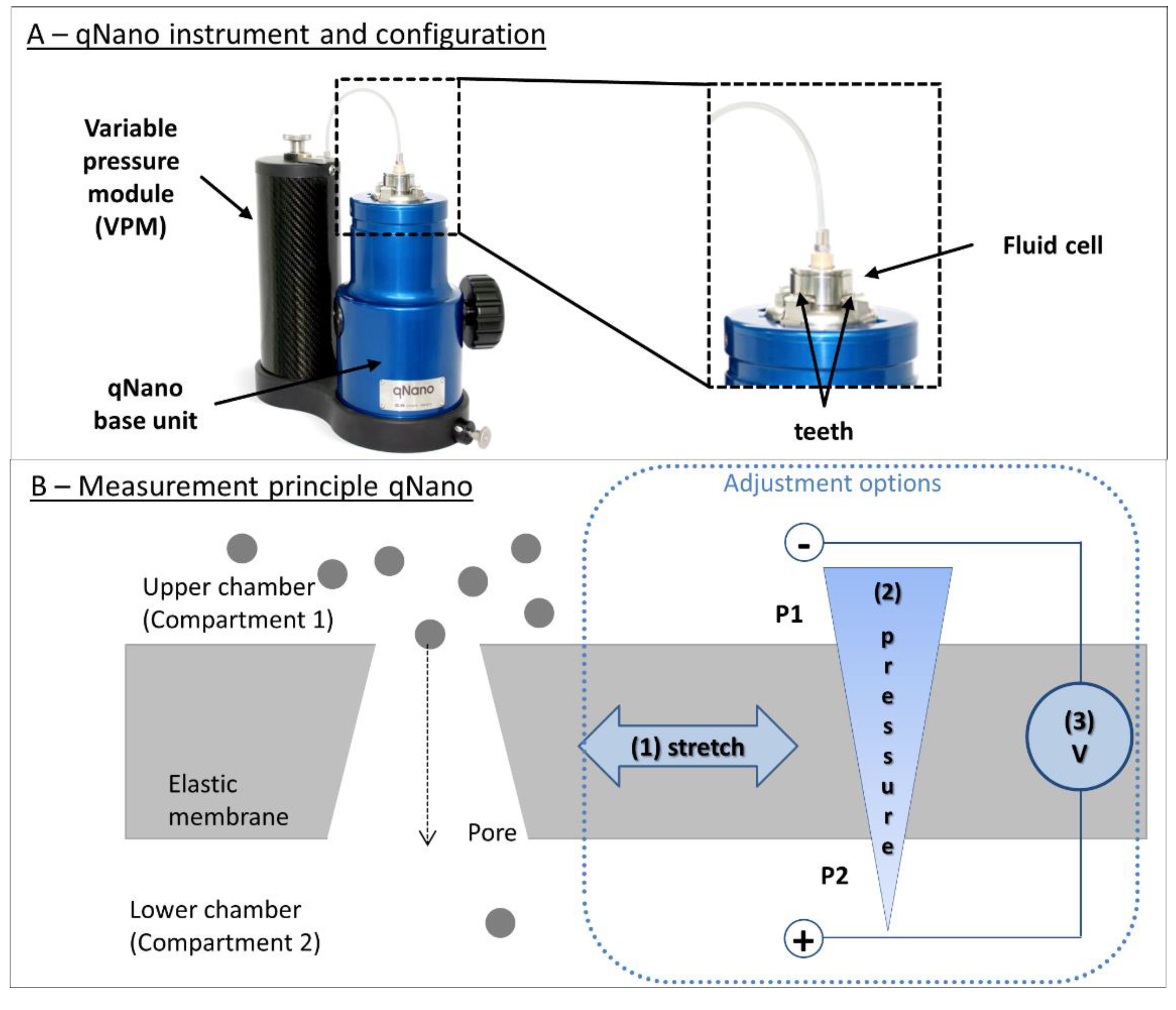 Pharmaceutics 12 01112 g006 Pharmaceutics 12 01112 g006
