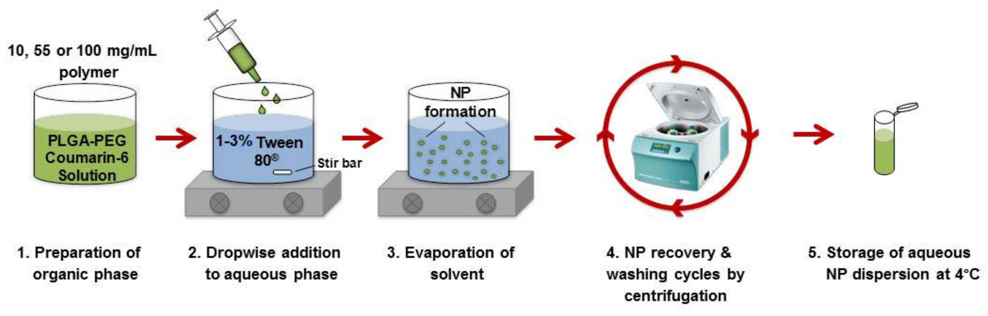 Pharmaceutics 12 01114 g001 Pharmaceutics 12 01114 g001