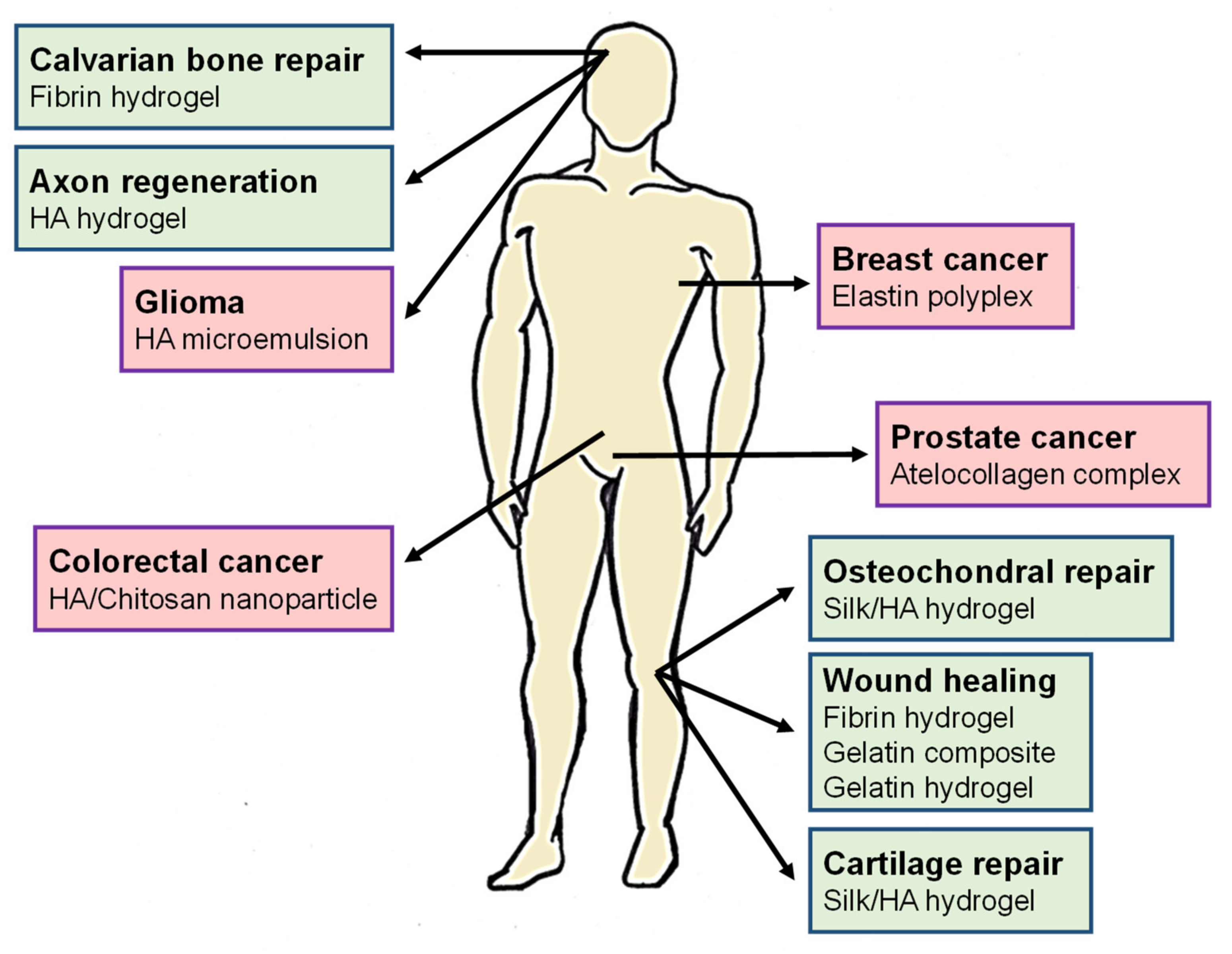 Pharmaceutics 12 01115 g001 Pharmaceutics 12 01115 g001