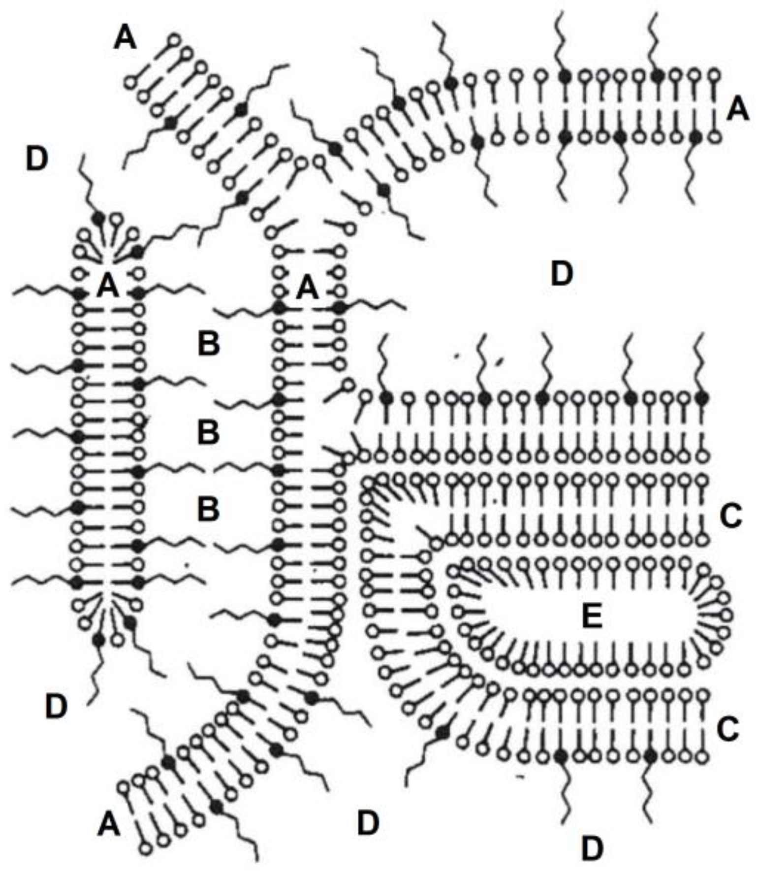 Pharmaceutics 12 01117 g002