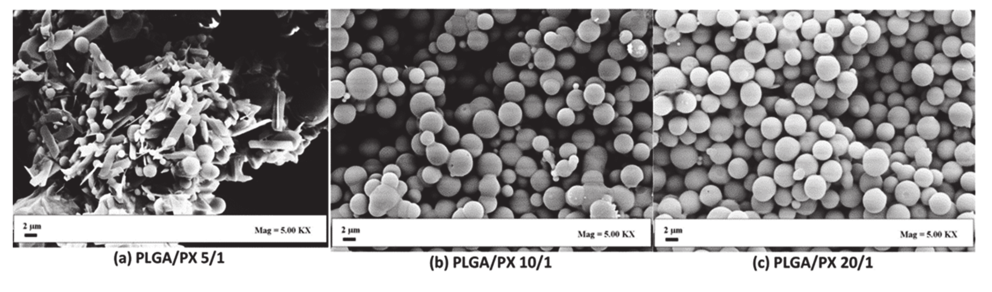 Pharmaceutics 12 01118 g008 Pharmaceutics 12 01118 g008