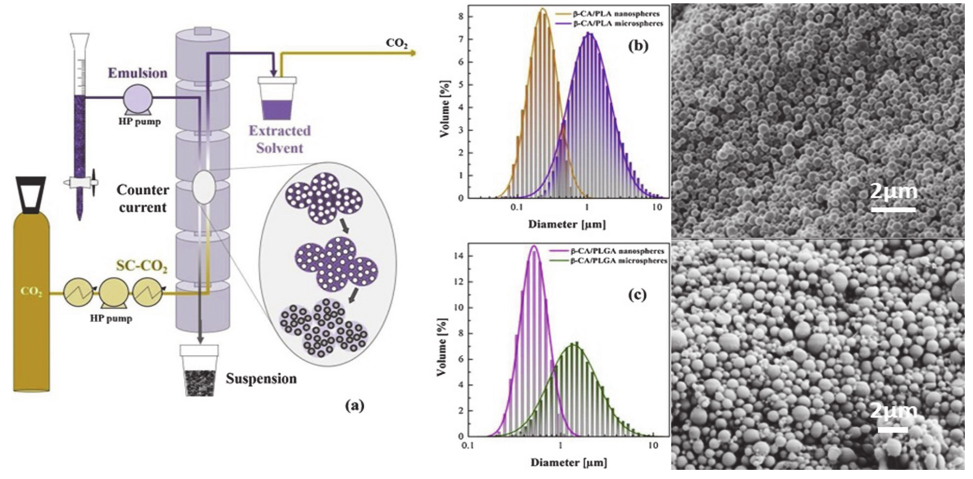 Pharmaceutics 12 01118 g009 Pharmaceutics 12 01118 g009