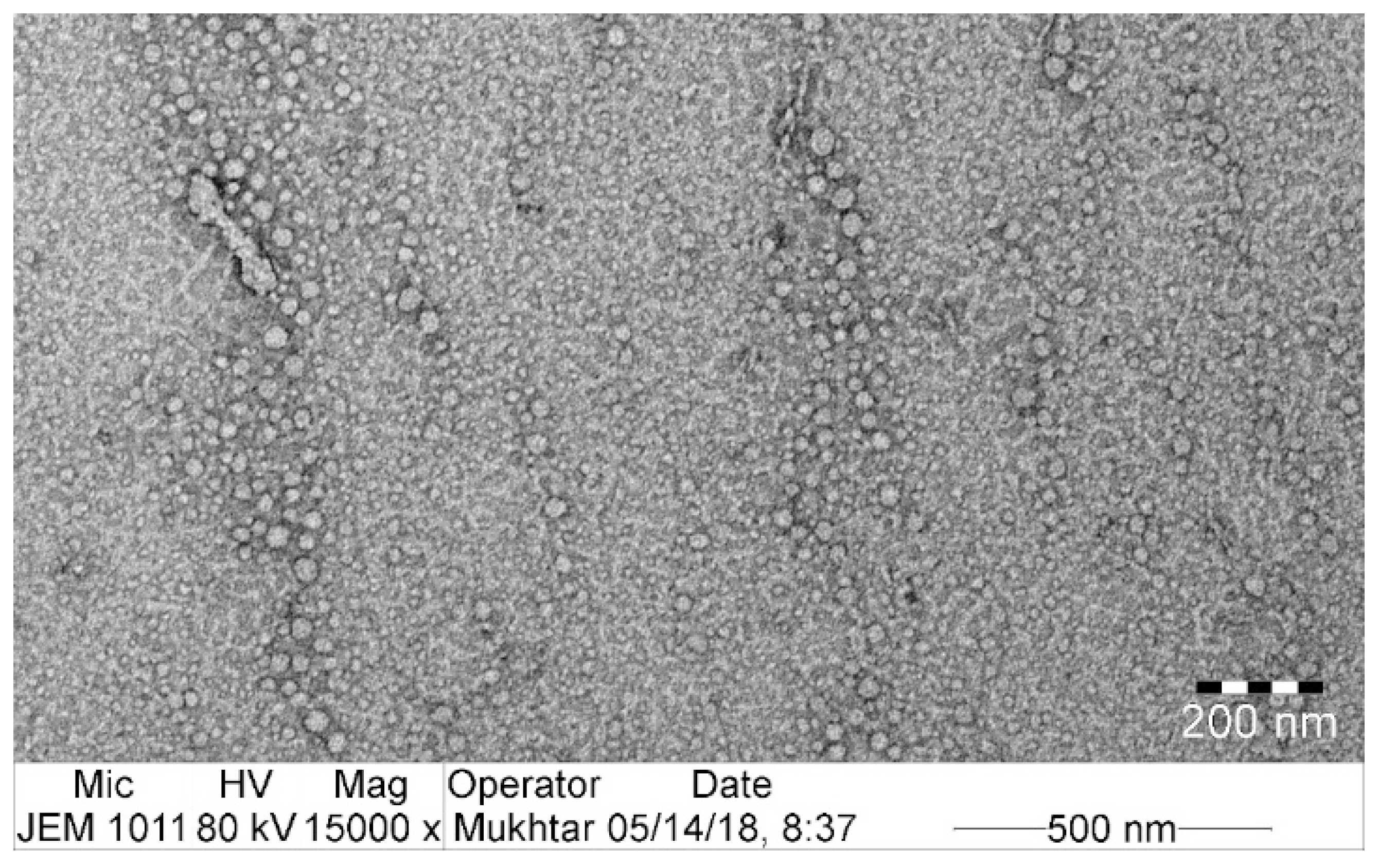 Pharmaceutics 12 01124 g003 Pharmaceutics 12 01124 g003
